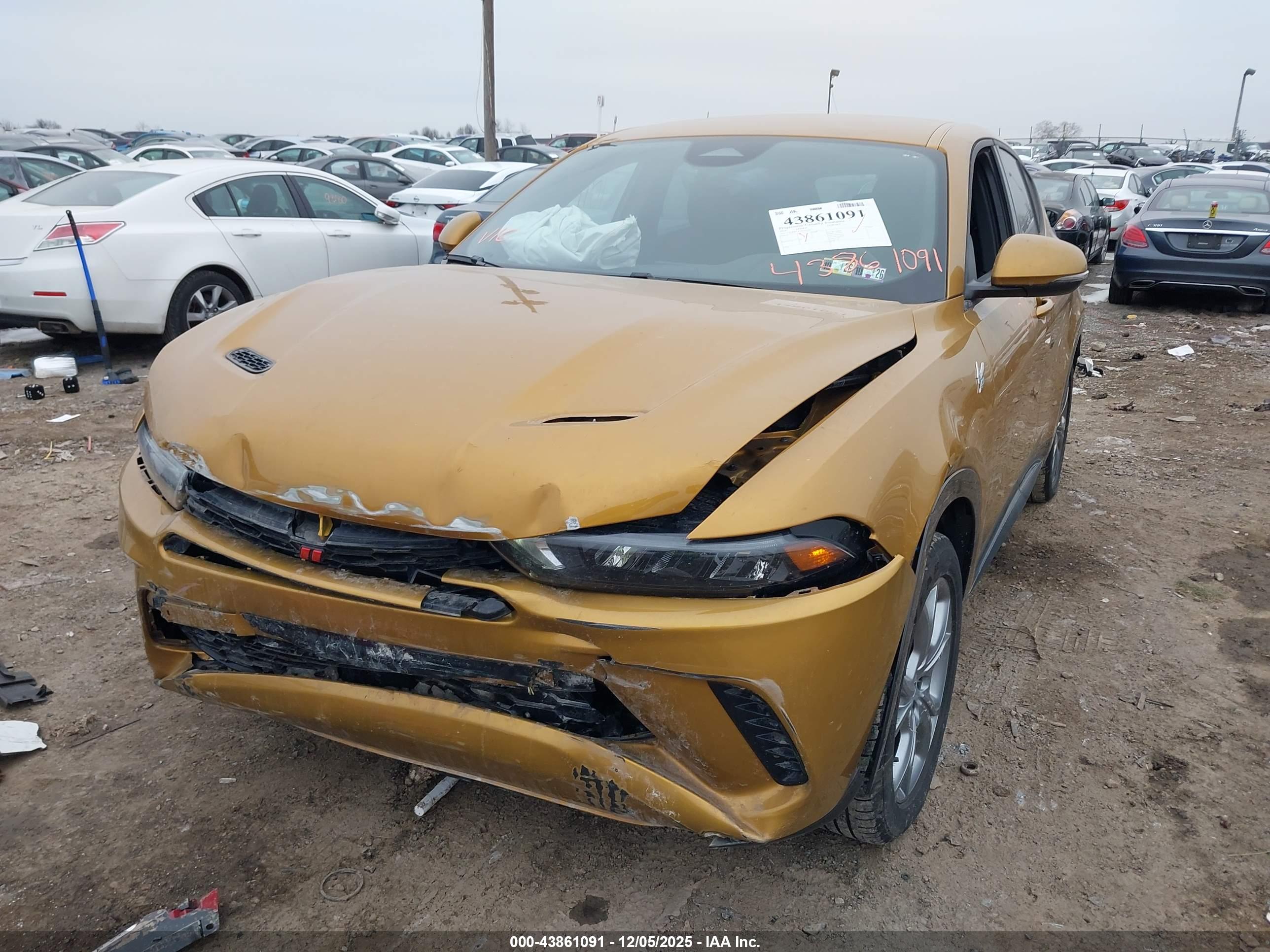 DODGE HORNET image 6