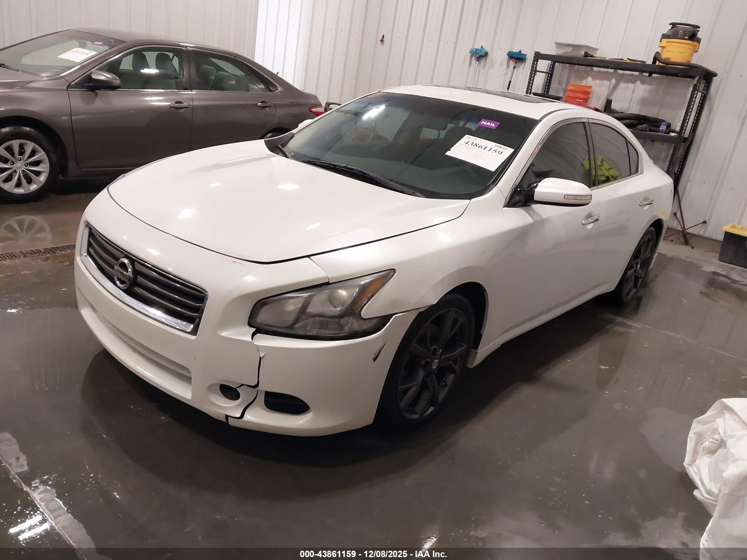 NISSAN MAXIMA image 2