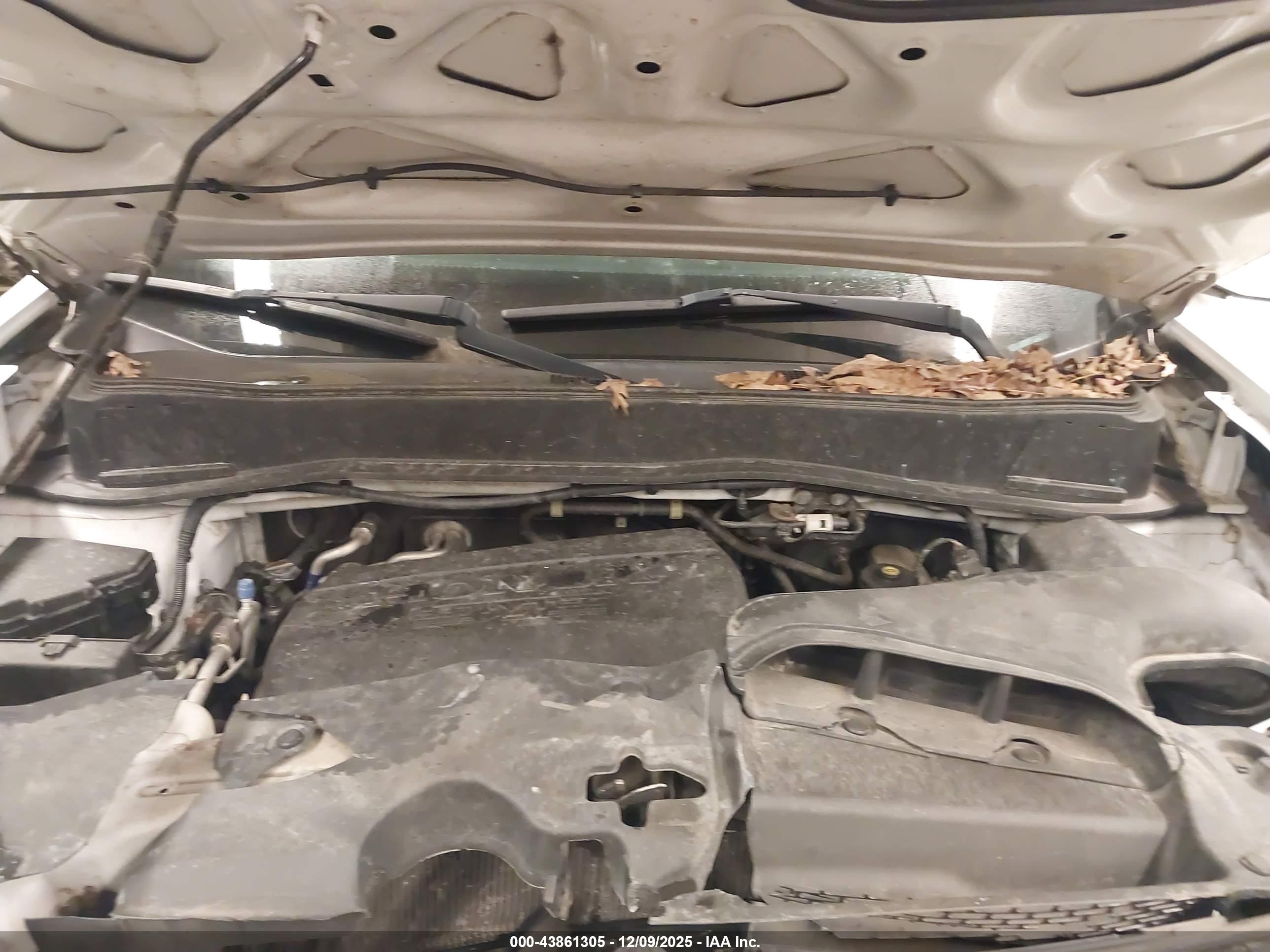 HONDA PILOT image 10