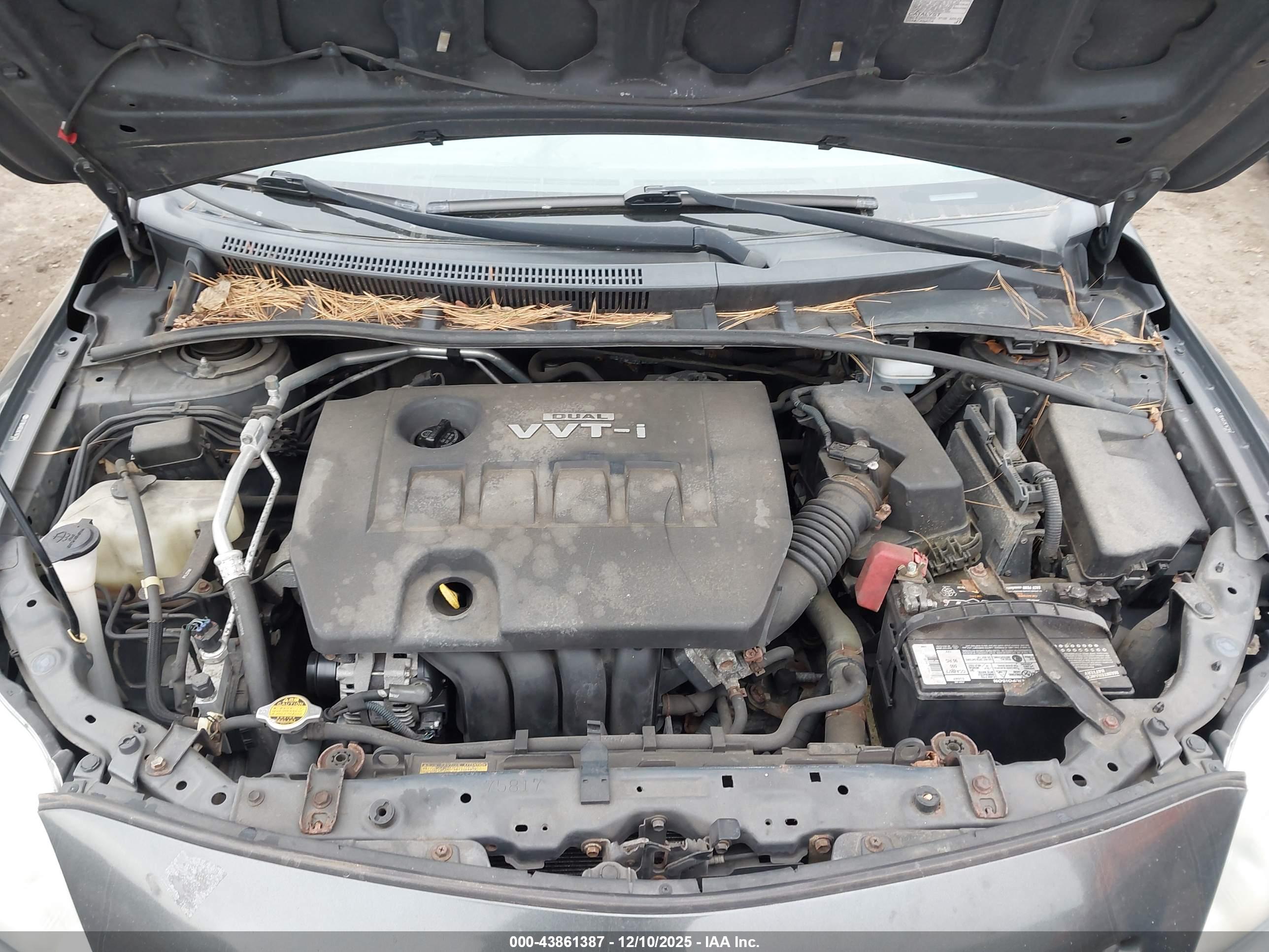 TOYOTA COROLLA image 10