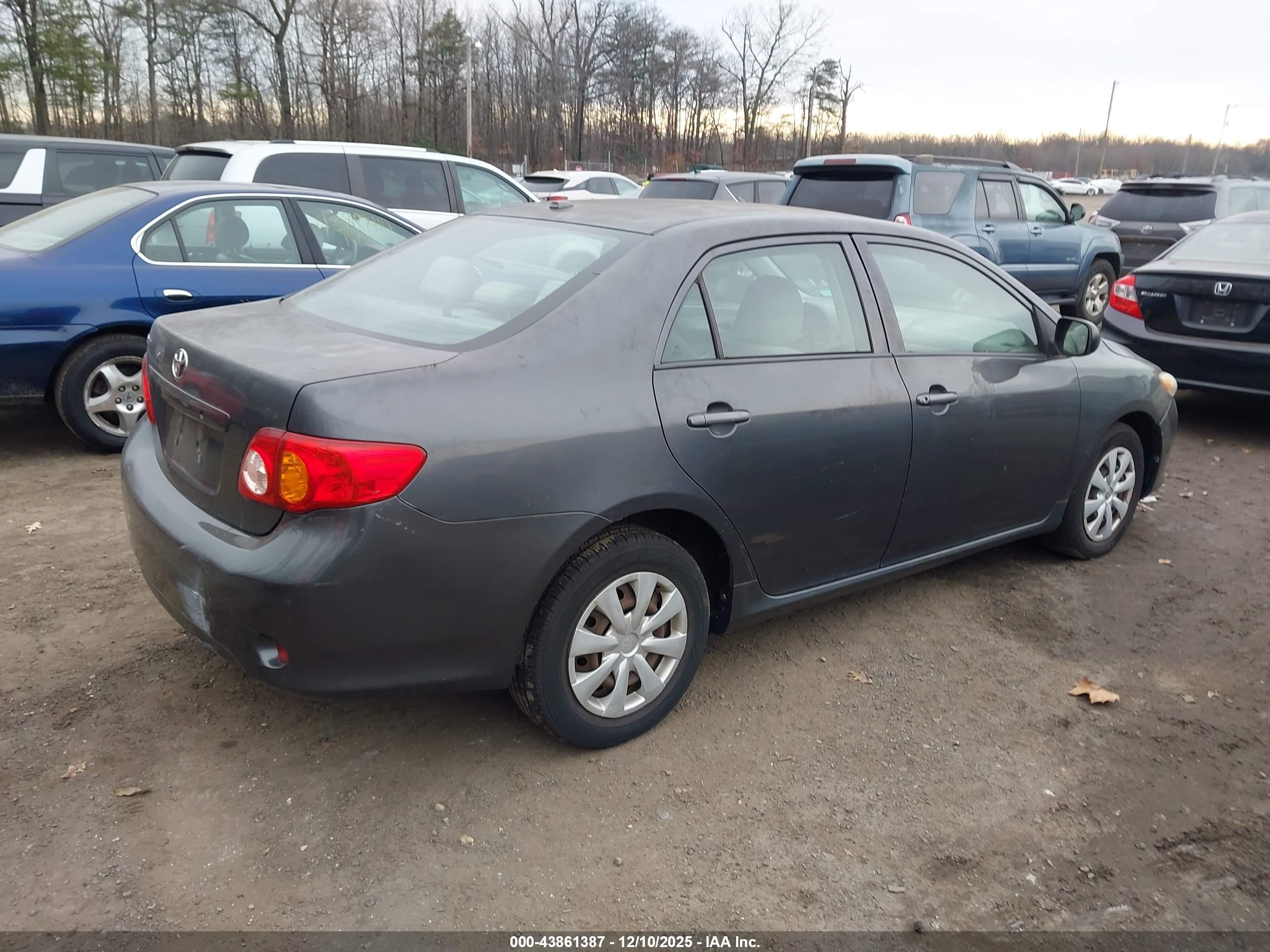 TOYOTA COROLLA image 4