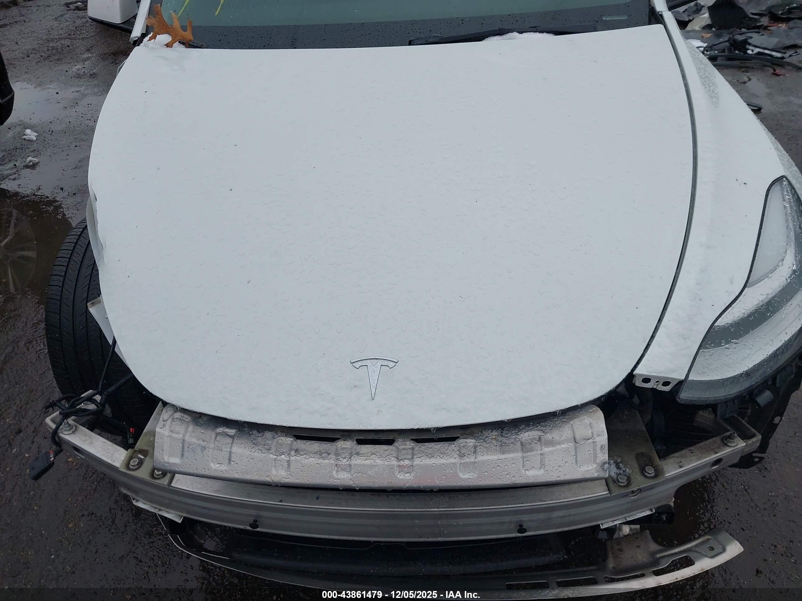 TESLA MODEL image 10