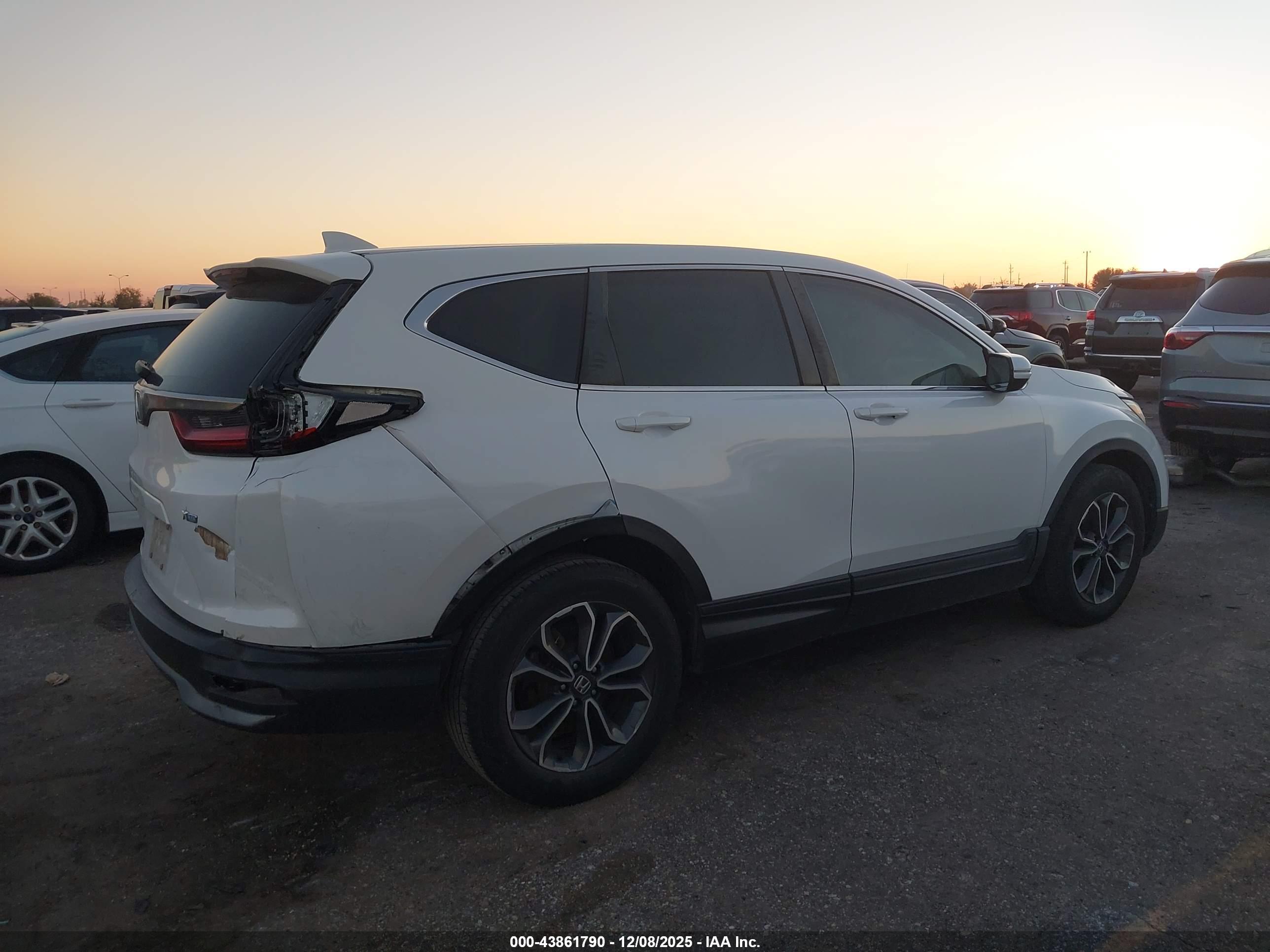 HONDA CR-V image 6