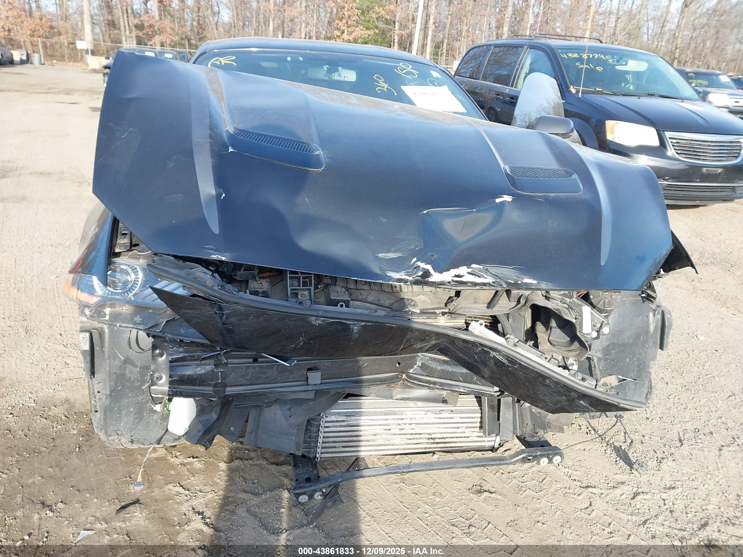 FORD MUSTANG image 6