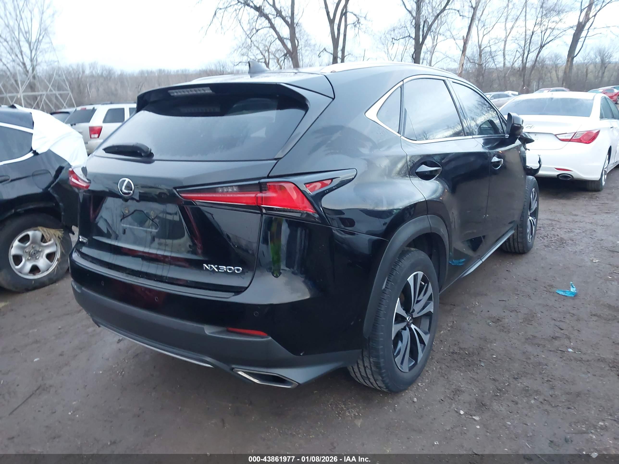 LEXUS NX image 4