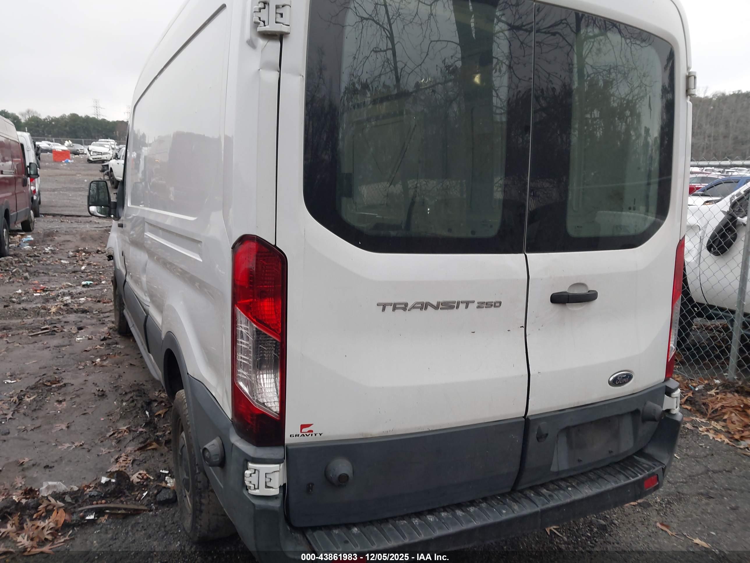 FORD TRANSIT-250 image 3