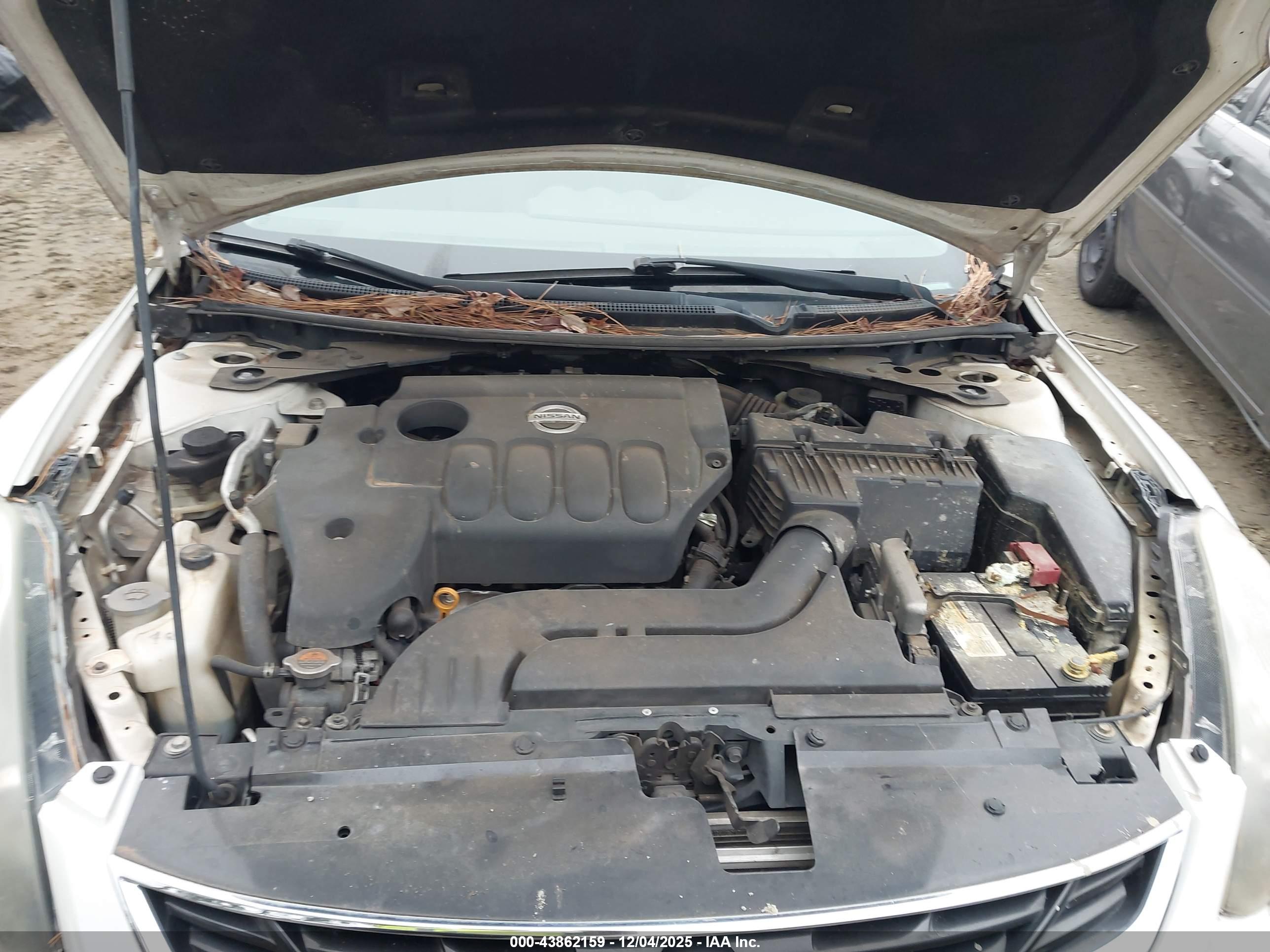 NISSAN ALTIMA image 10
