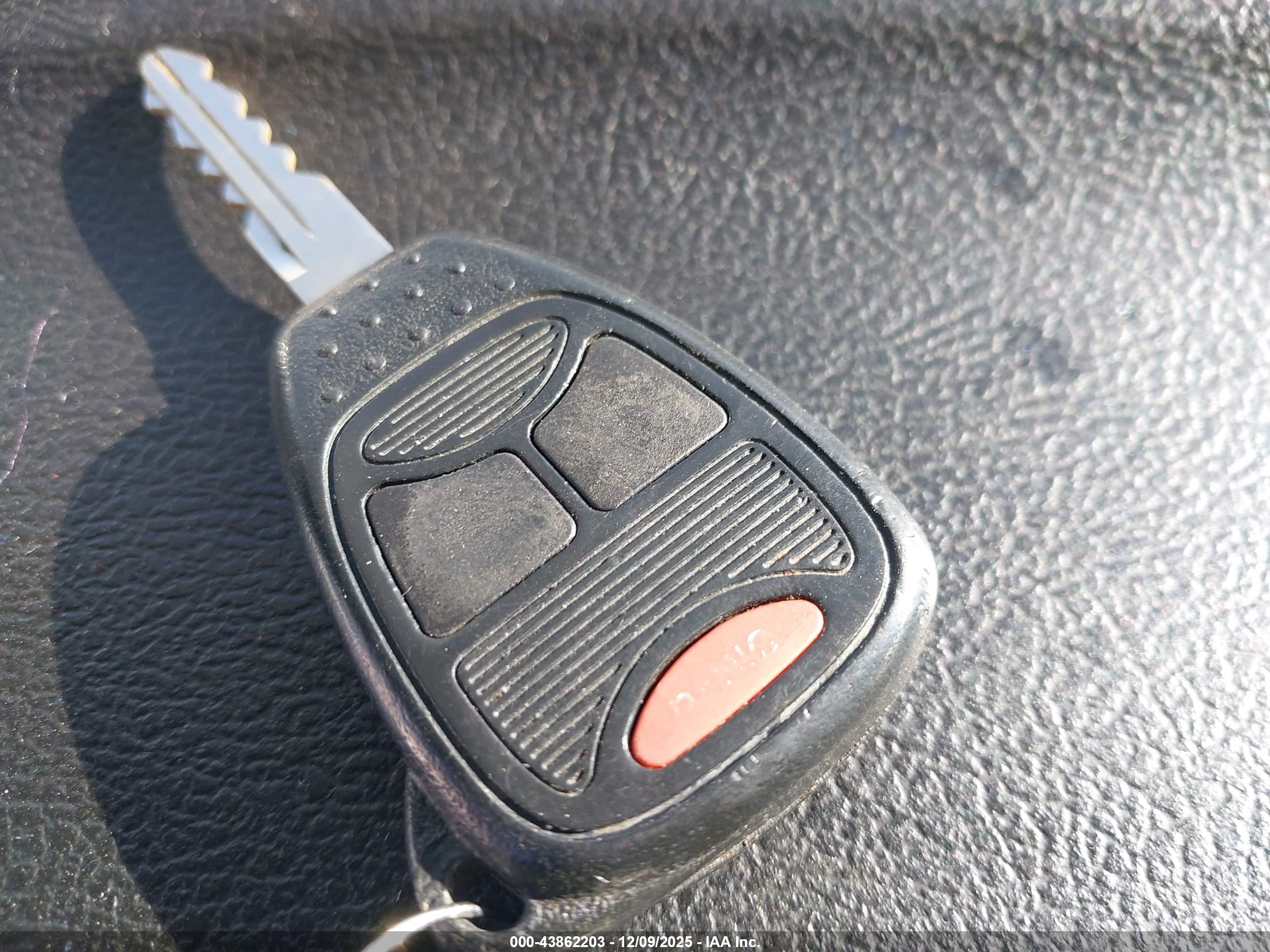 JEEP WRANGLER image 11