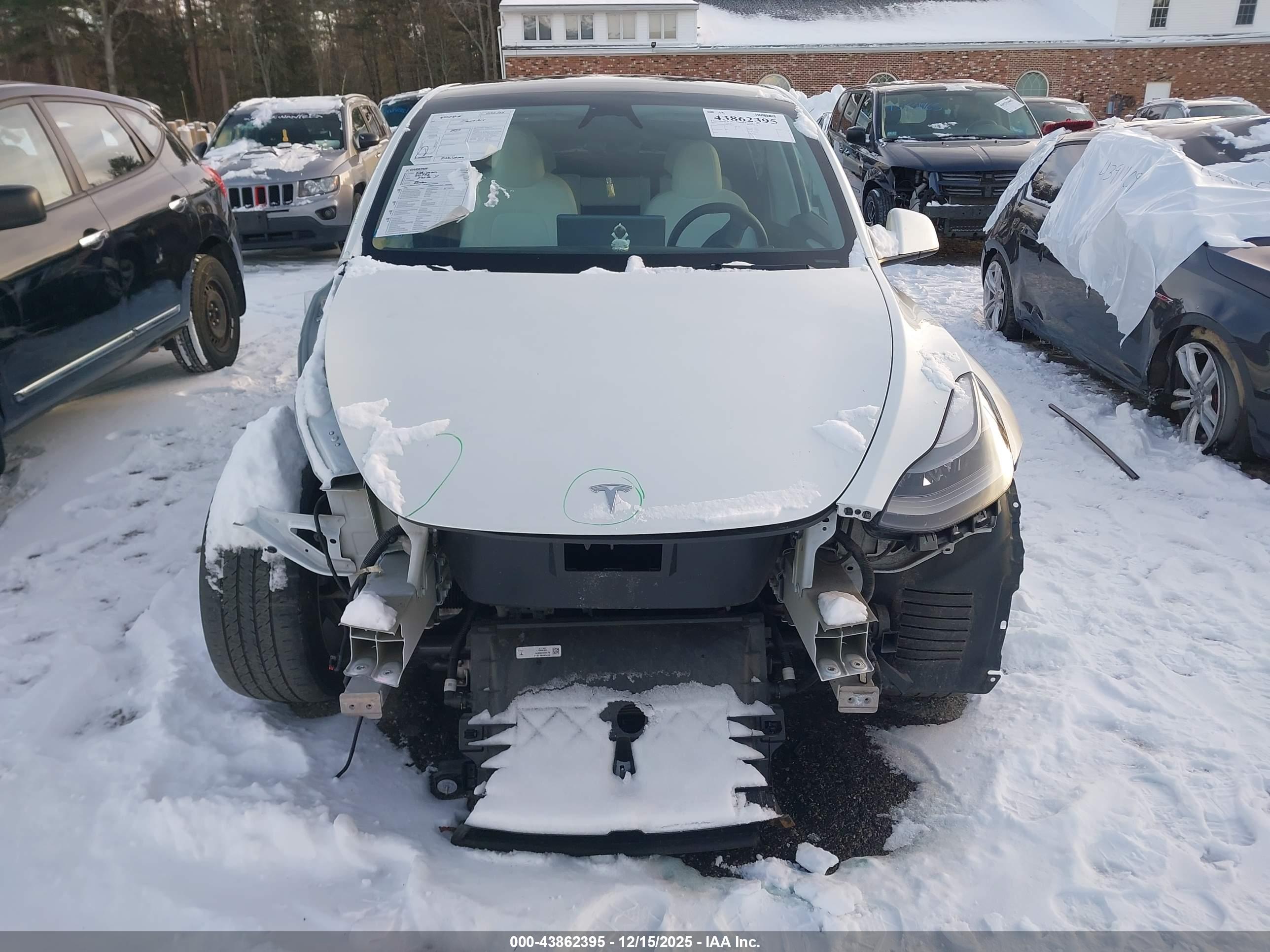 TESLA MODEL image 6