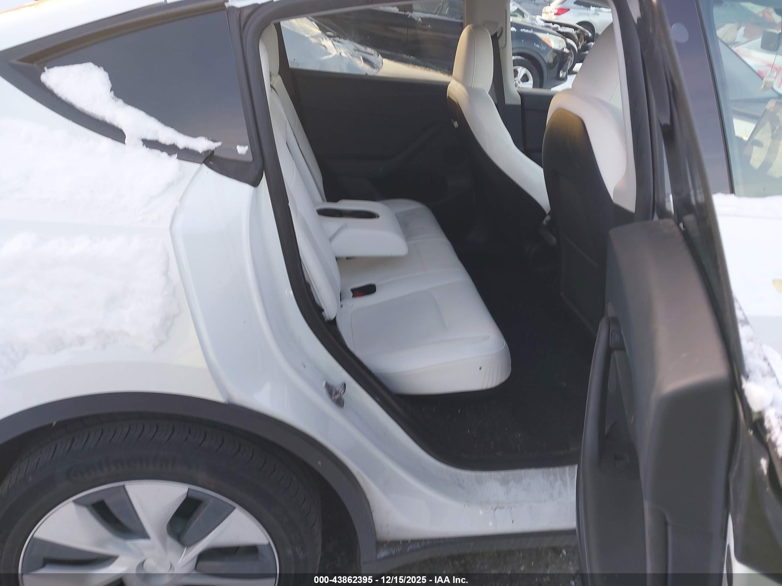 TESLA MODEL image 8