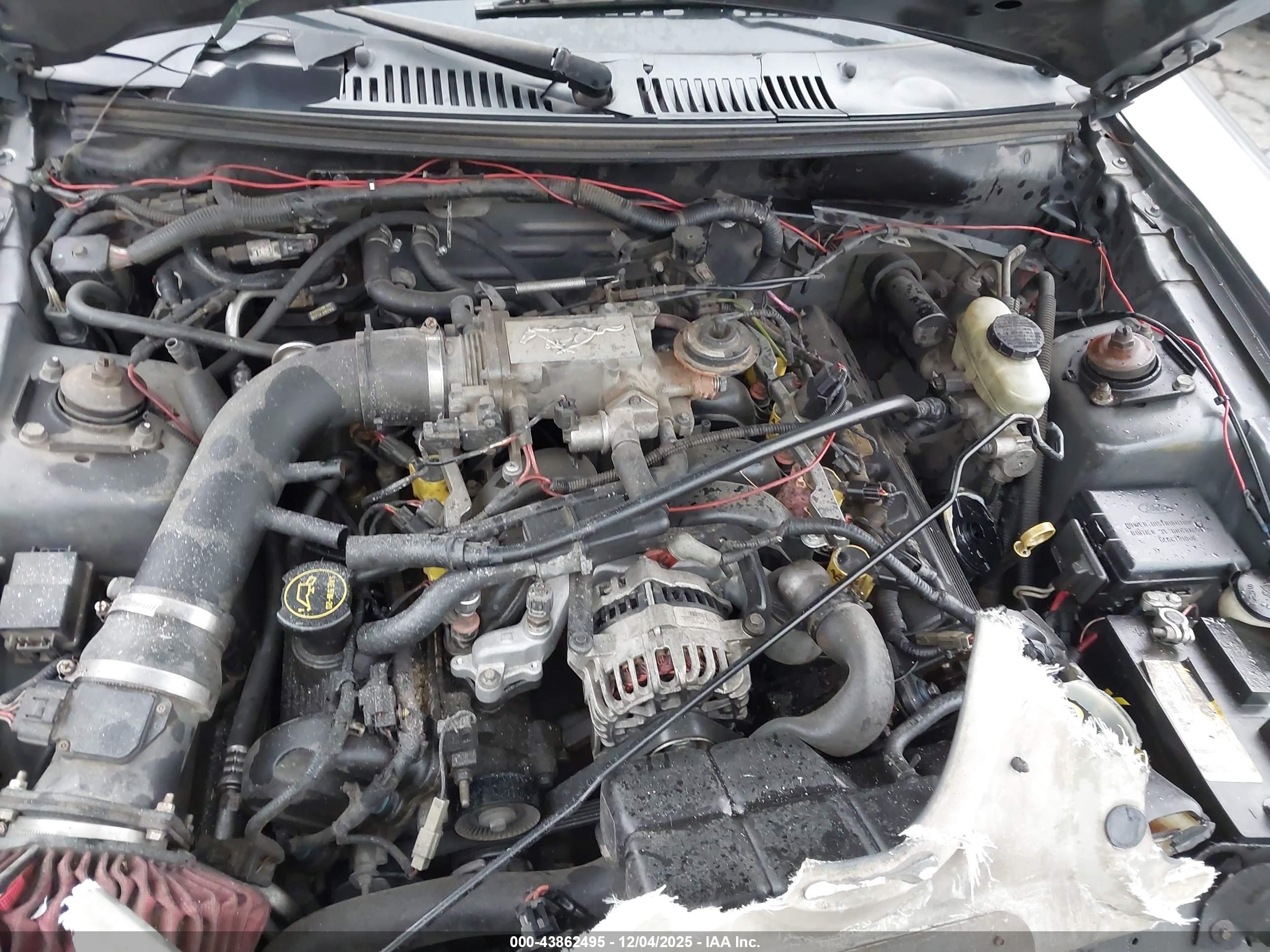 FORD MUSTANG image 10
