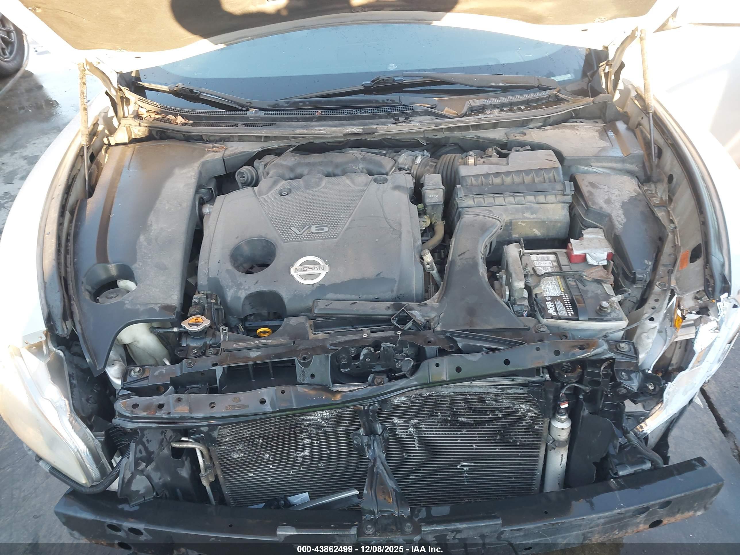 NISSAN MAXIMA image 10