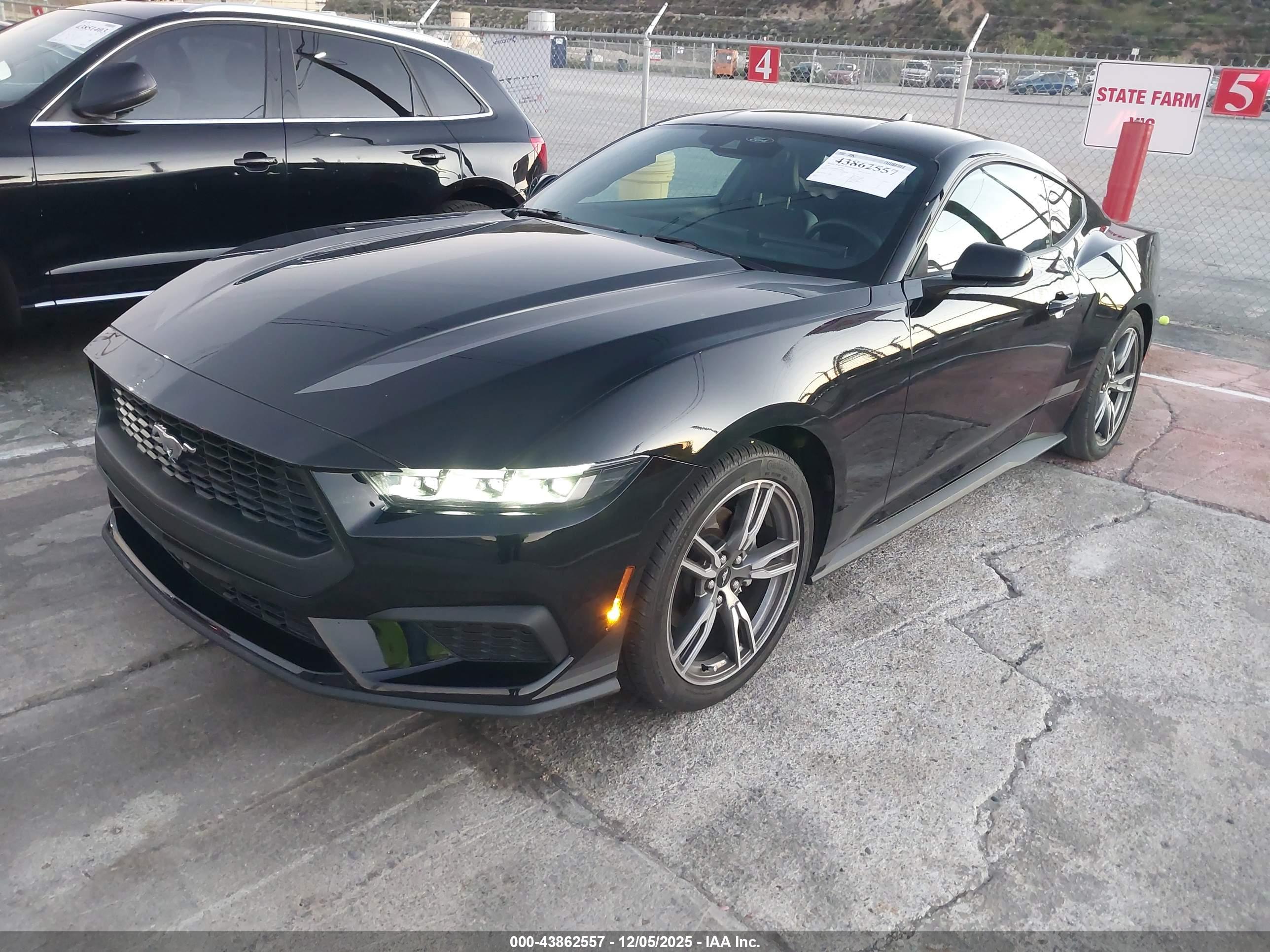 FORD MUSTANG image 2