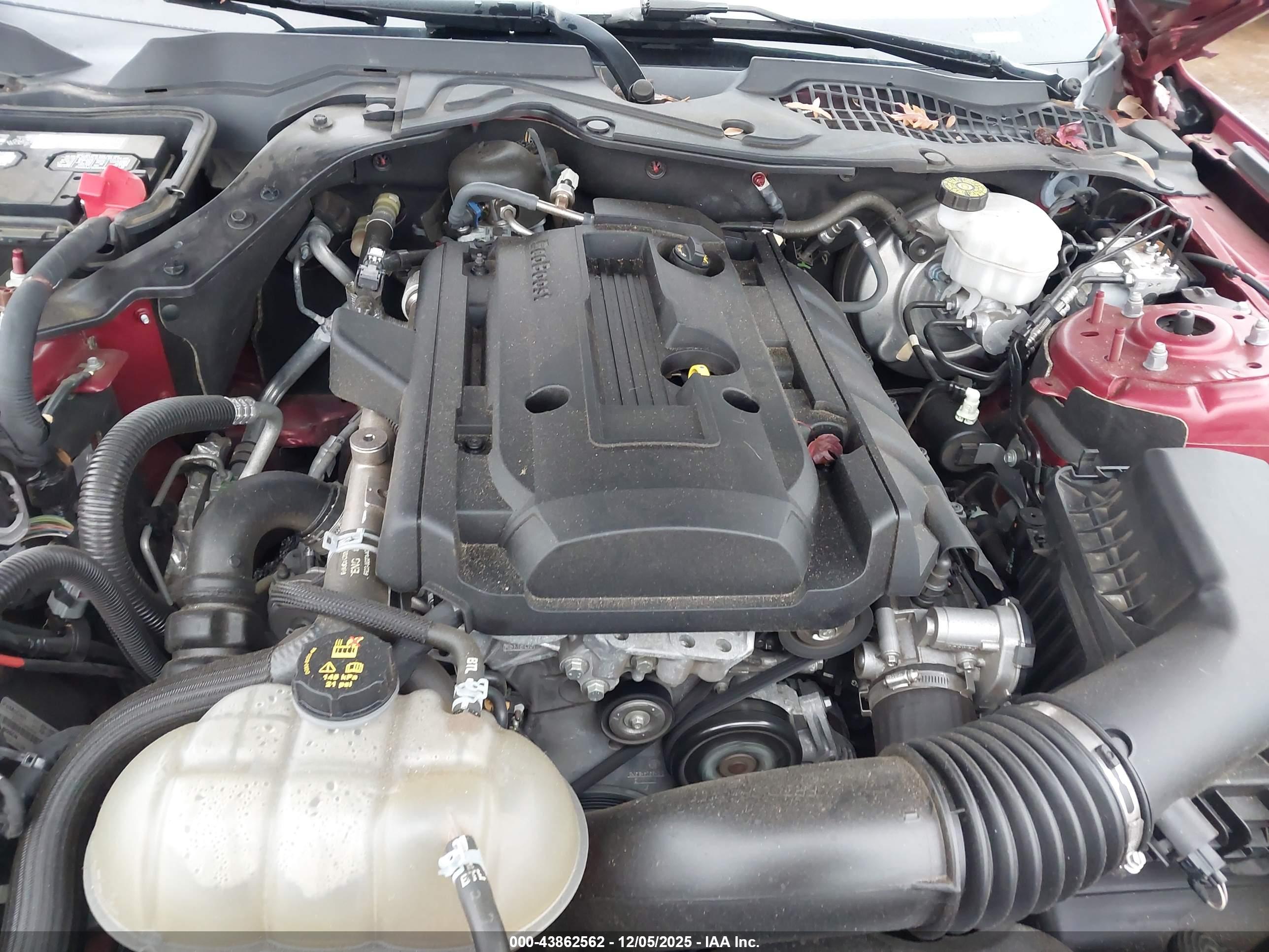 FORD MUSTANG image 10