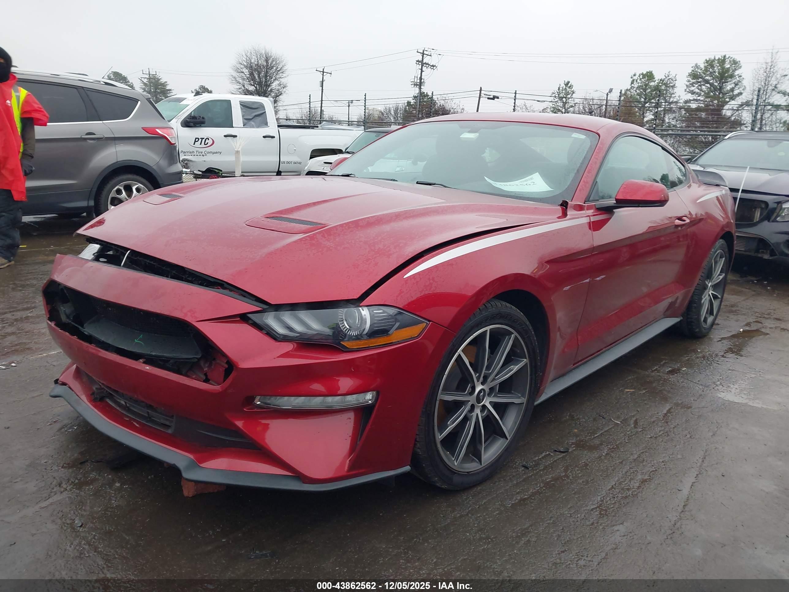 FORD MUSTANG image 2