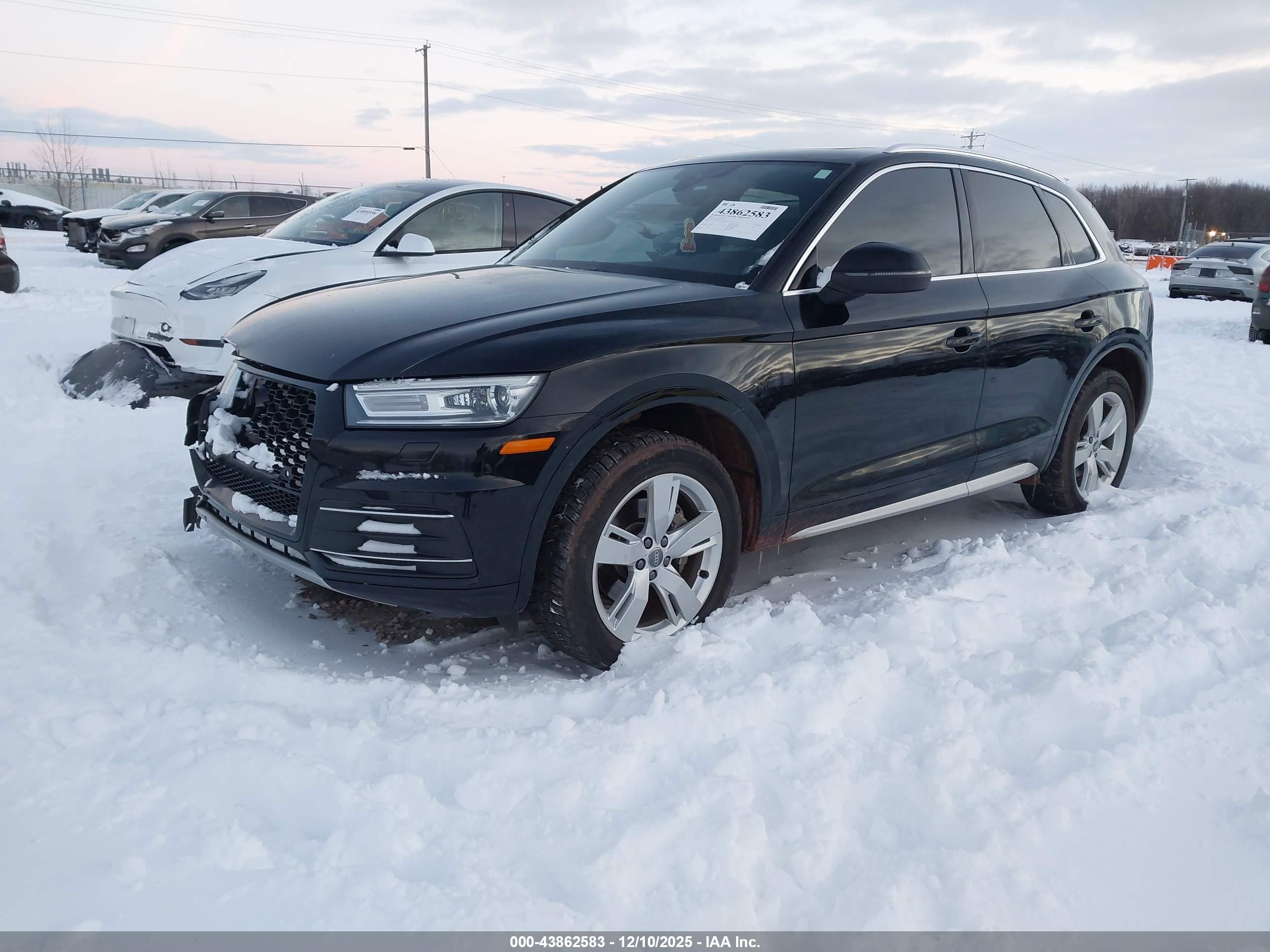 AUDI Q5 image 2