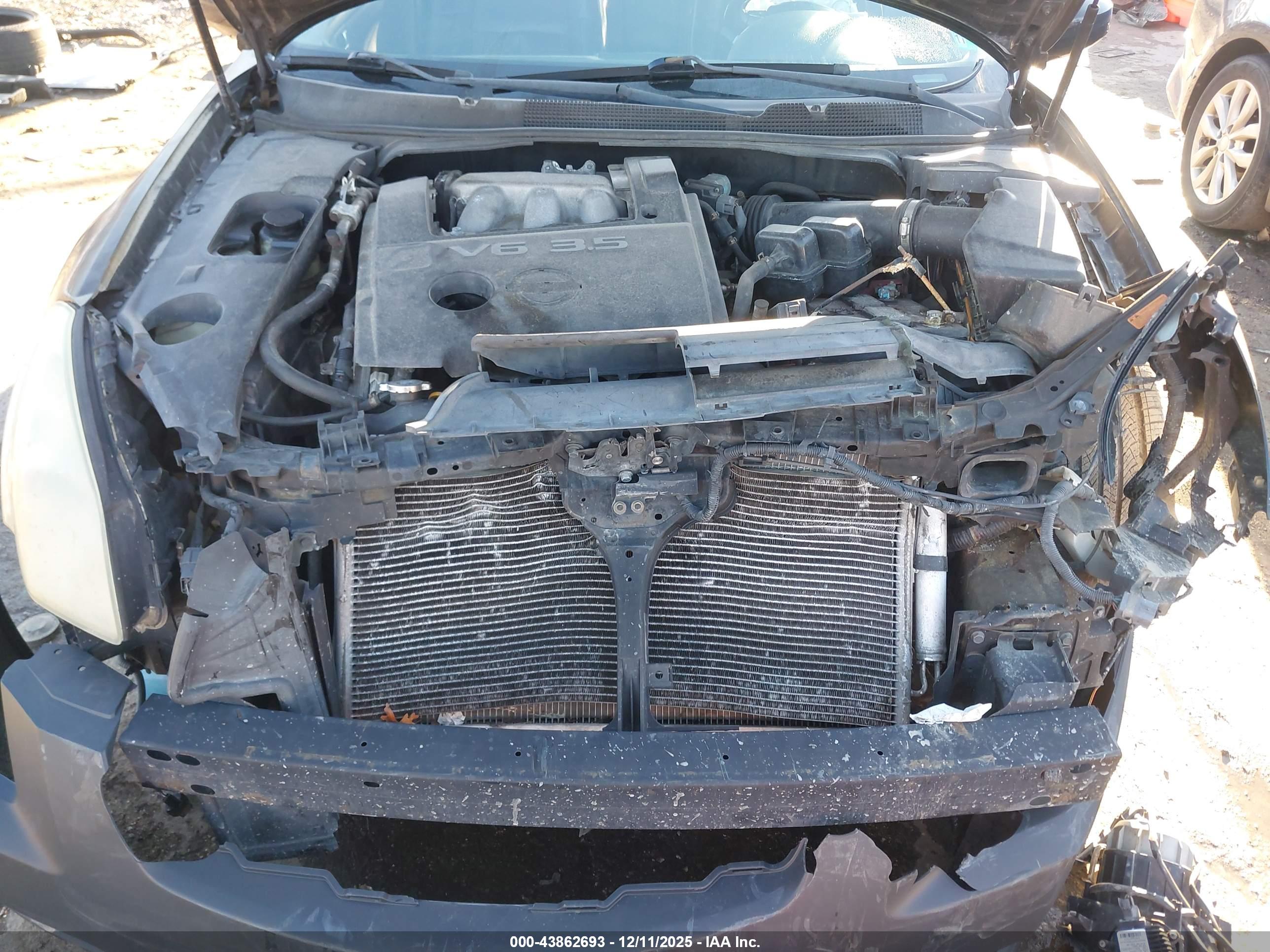NISSAN MAXIMA image 10