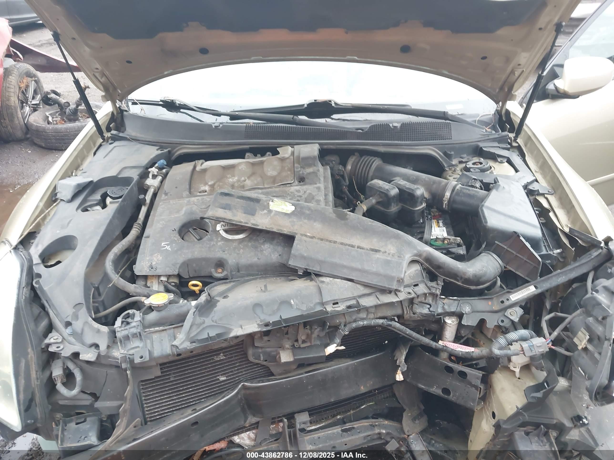 NISSAN MAXIMA image 10