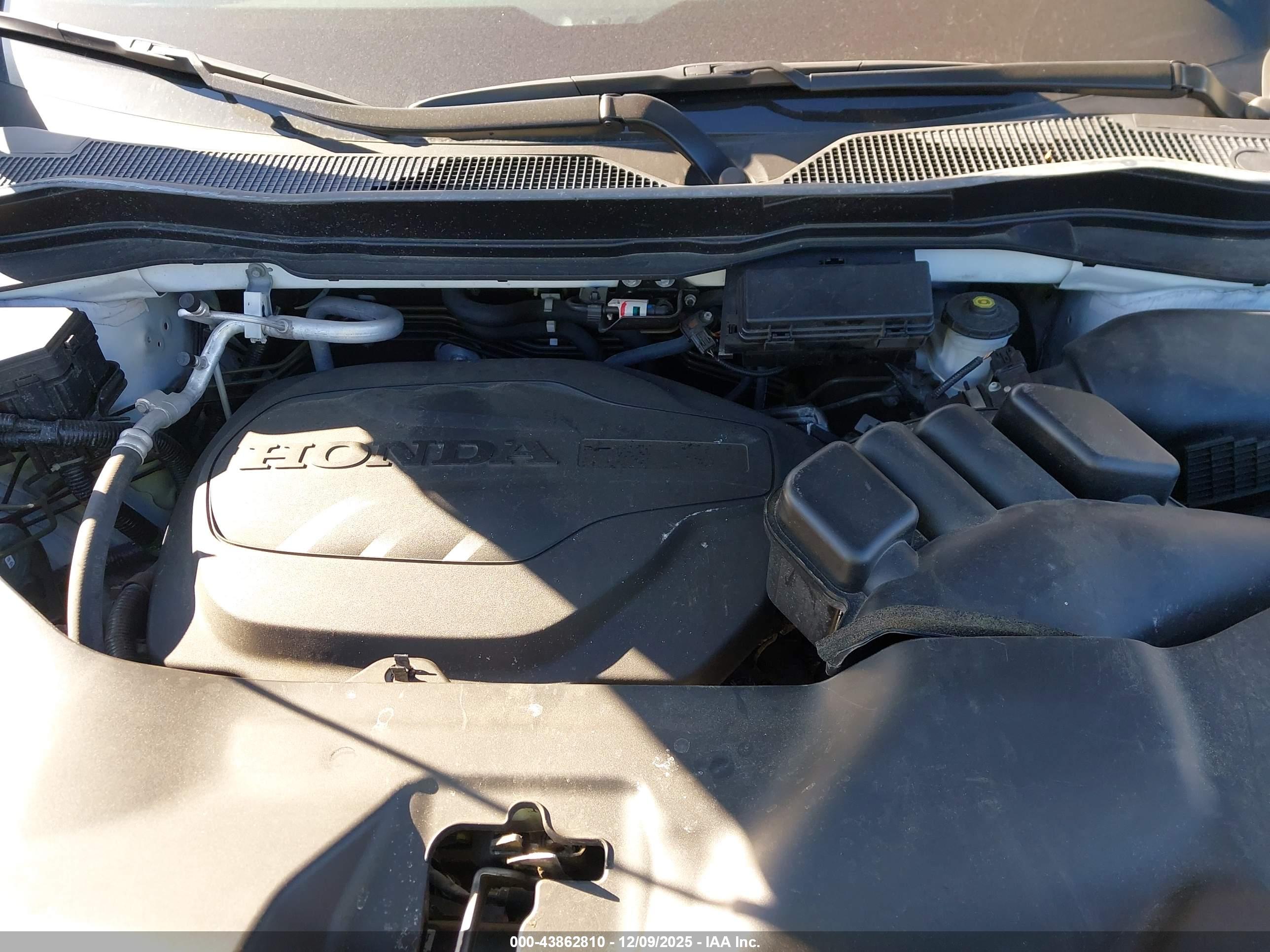 HONDA PASSPORT image 10