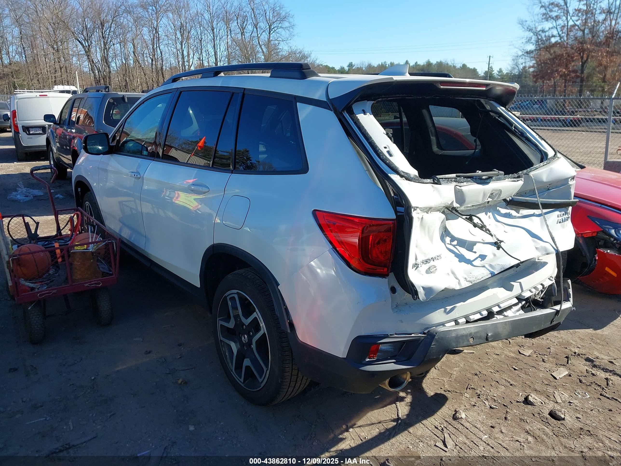 HONDA PASSPORT image 3