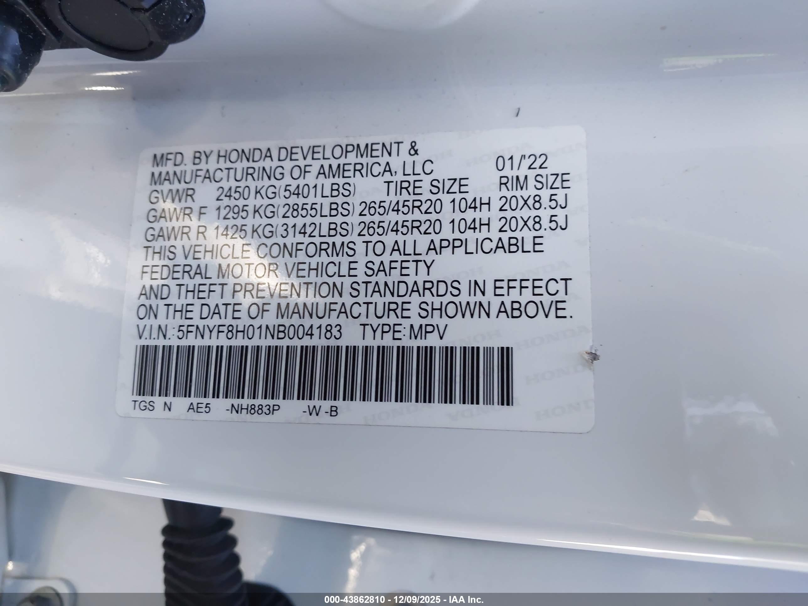 HONDA PASSPORT image 9