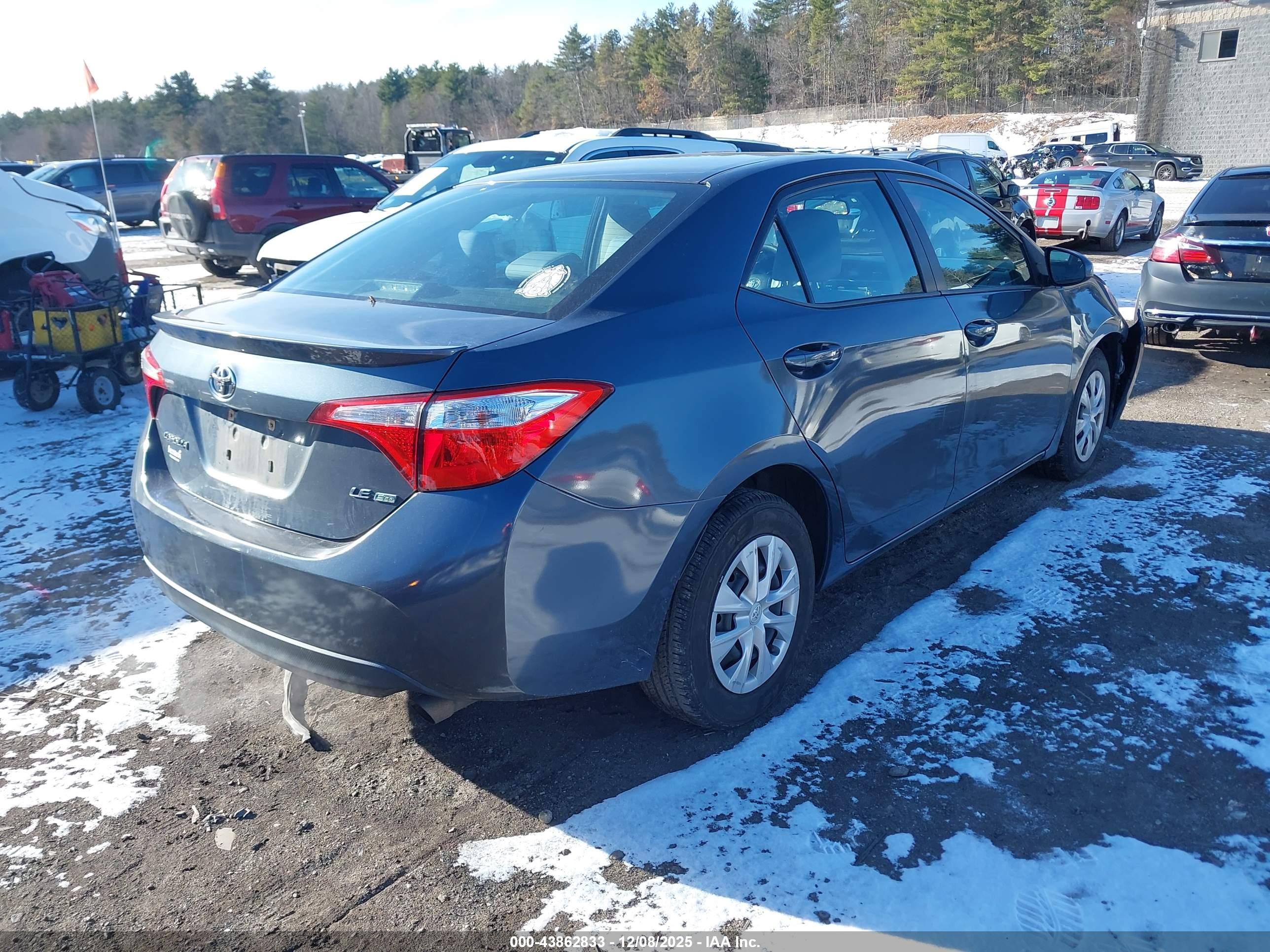 TOYOTA COROLLA image 4