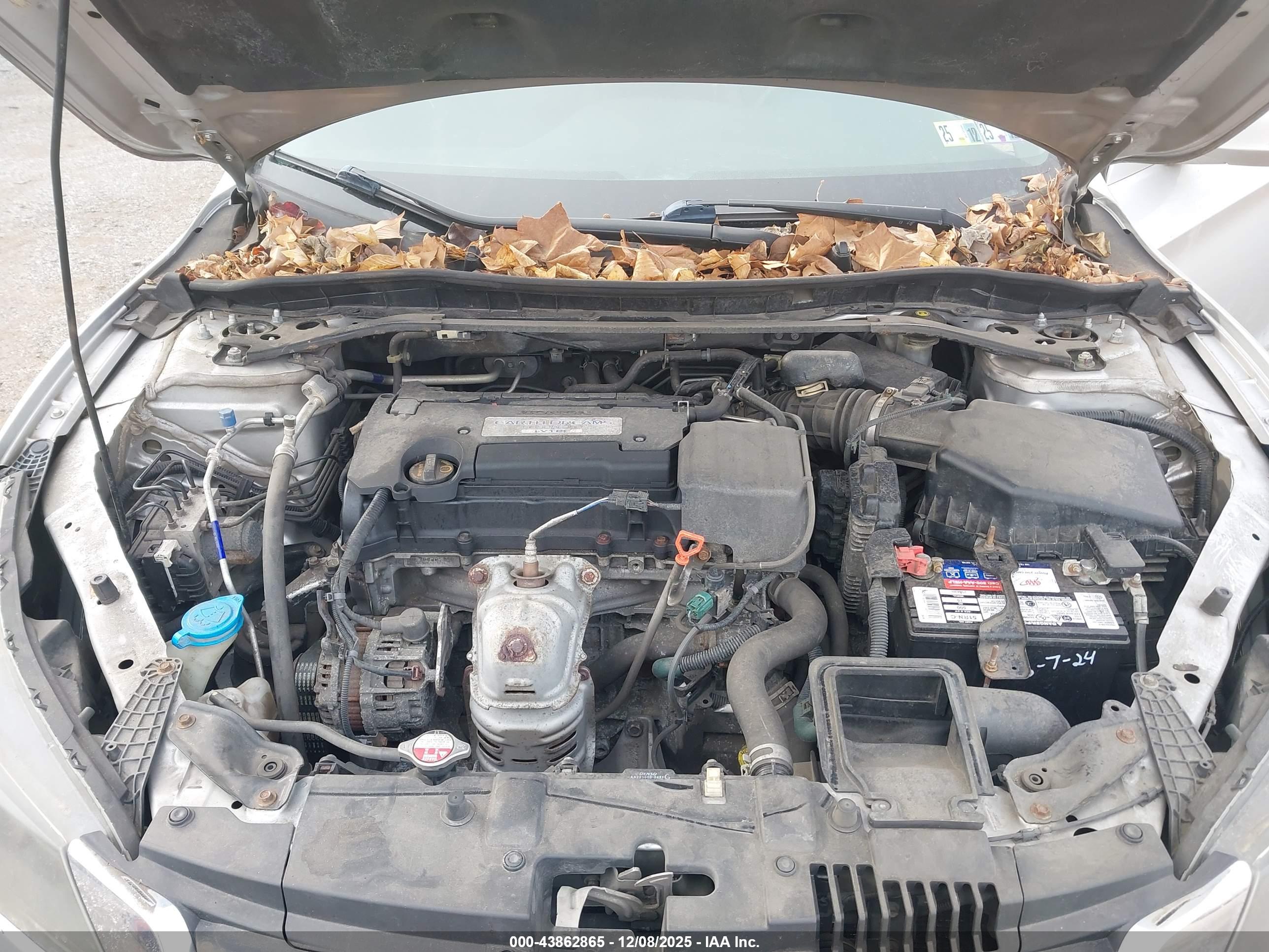 HONDA ACCORD image 10