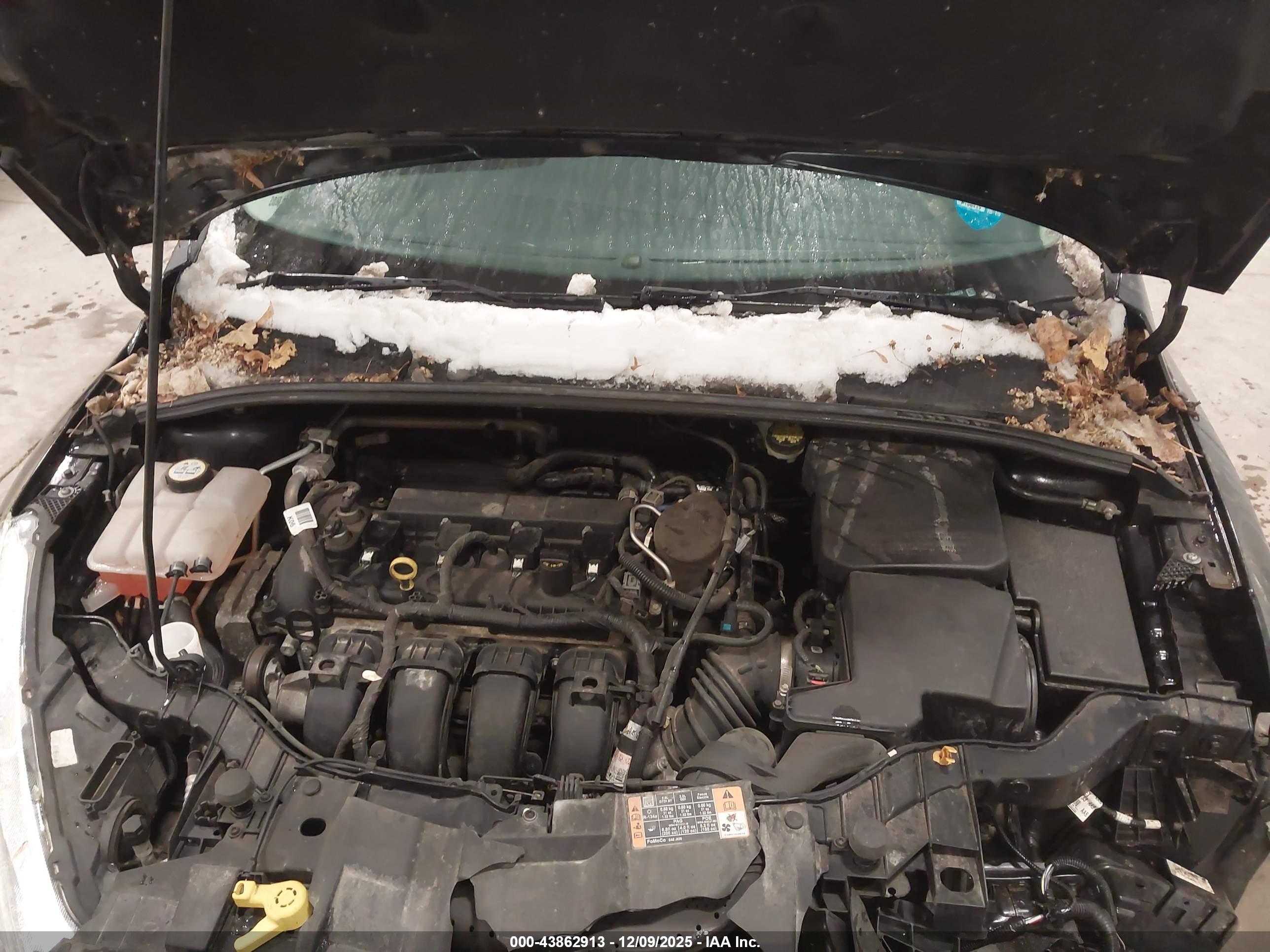FORD FOCUS image 10