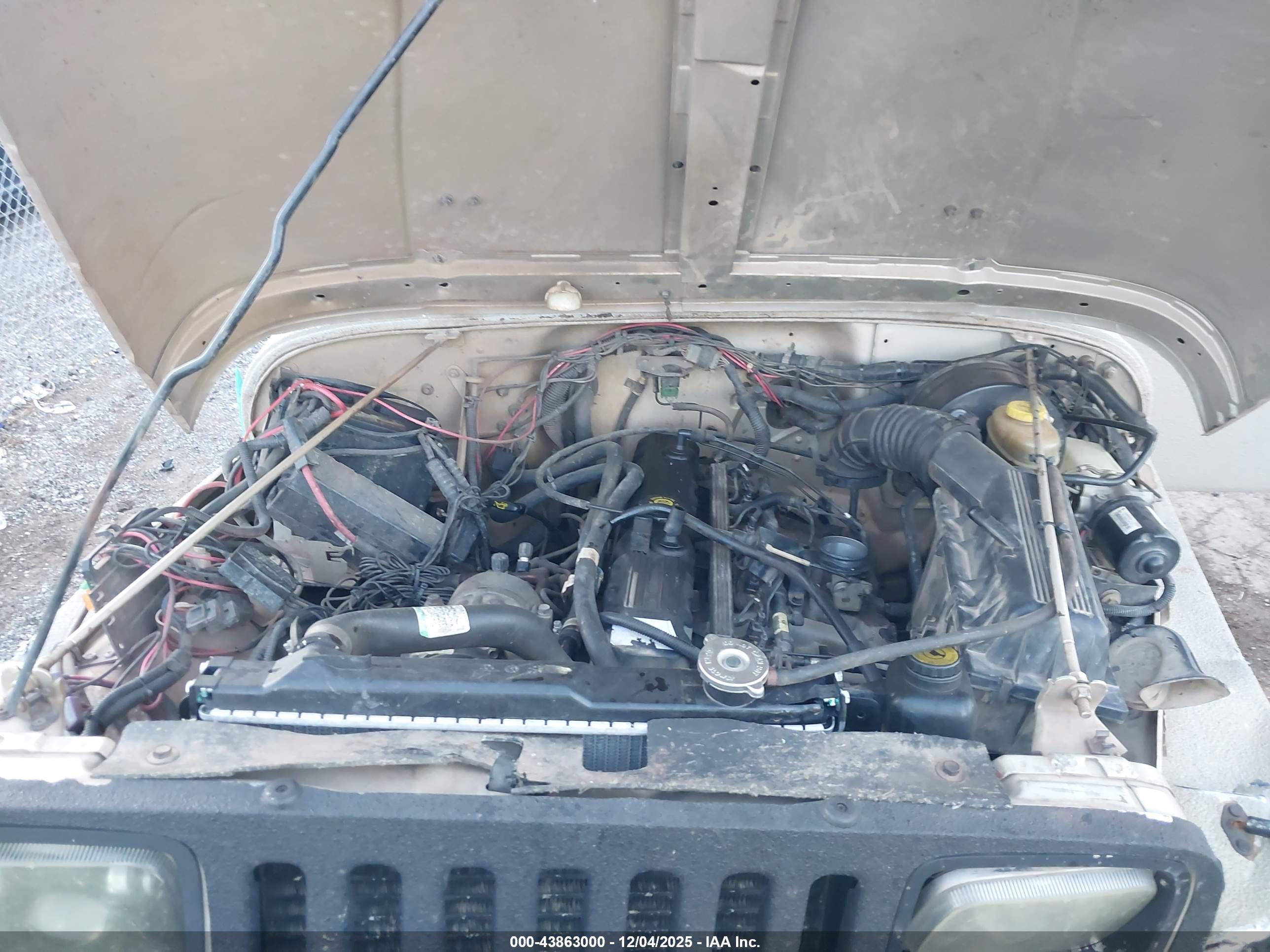 JEEP WRANGLER image 10