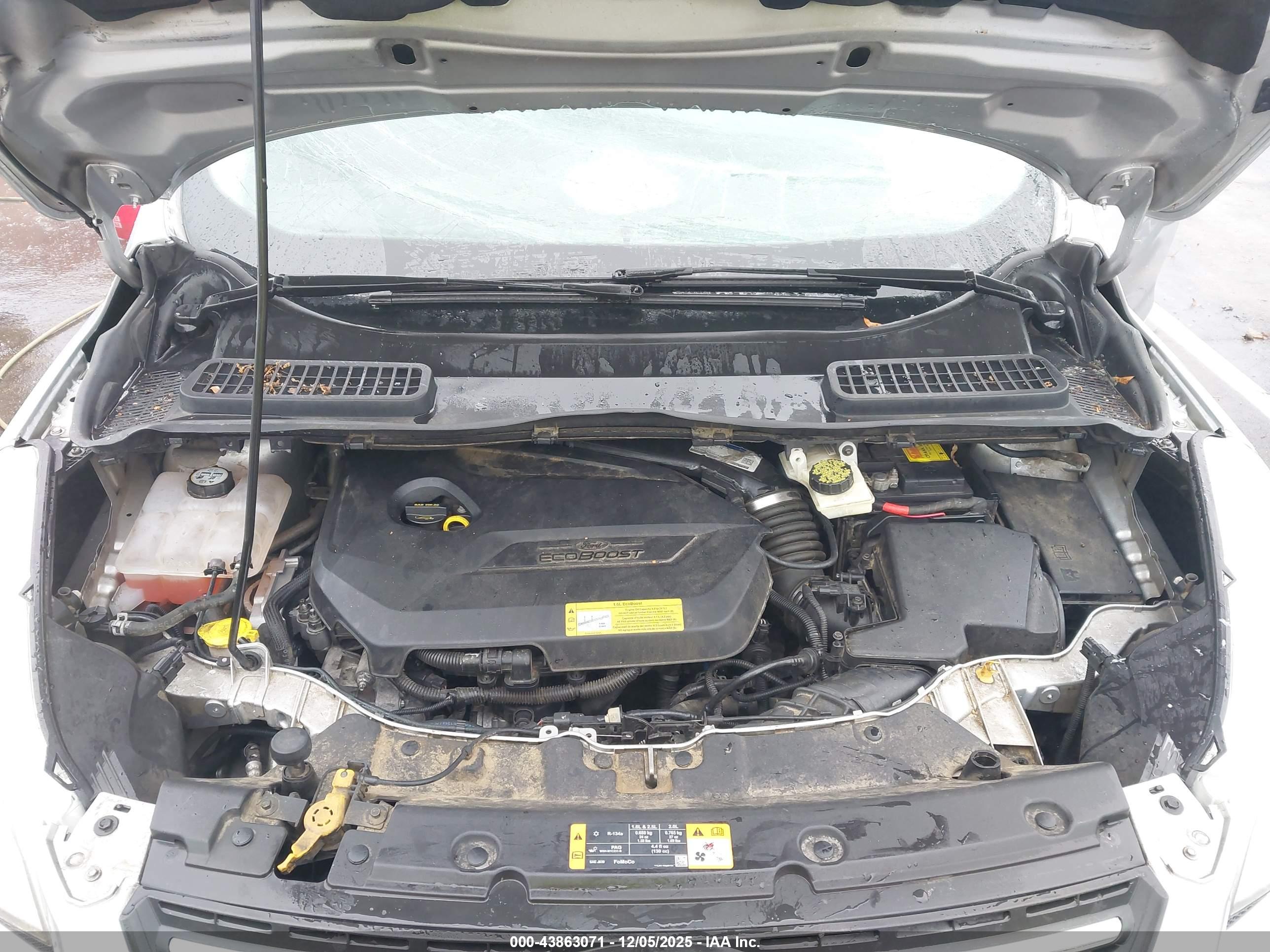 FORD ESCAPE image 10