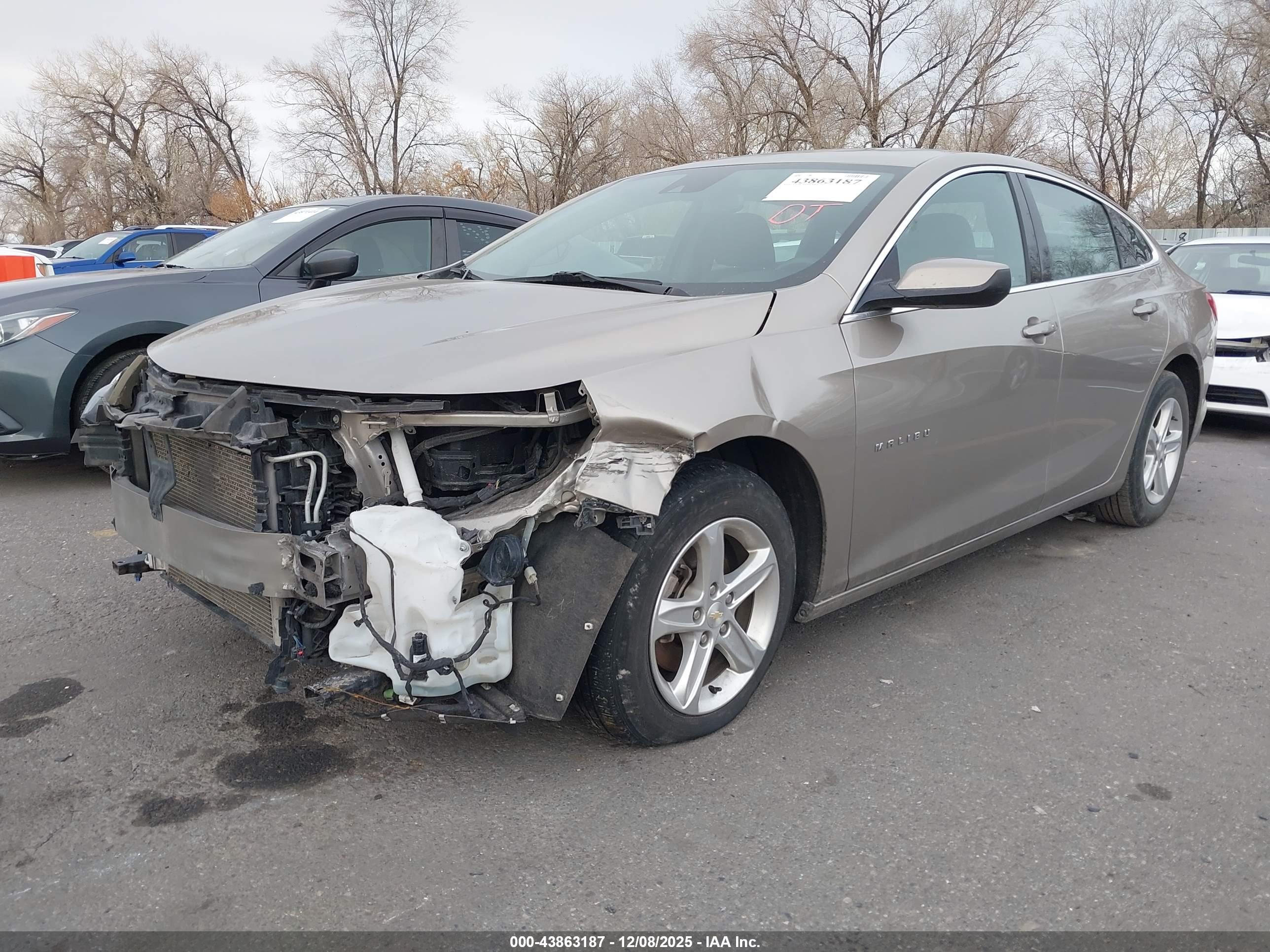 CHEVROLET MALIBU image 2