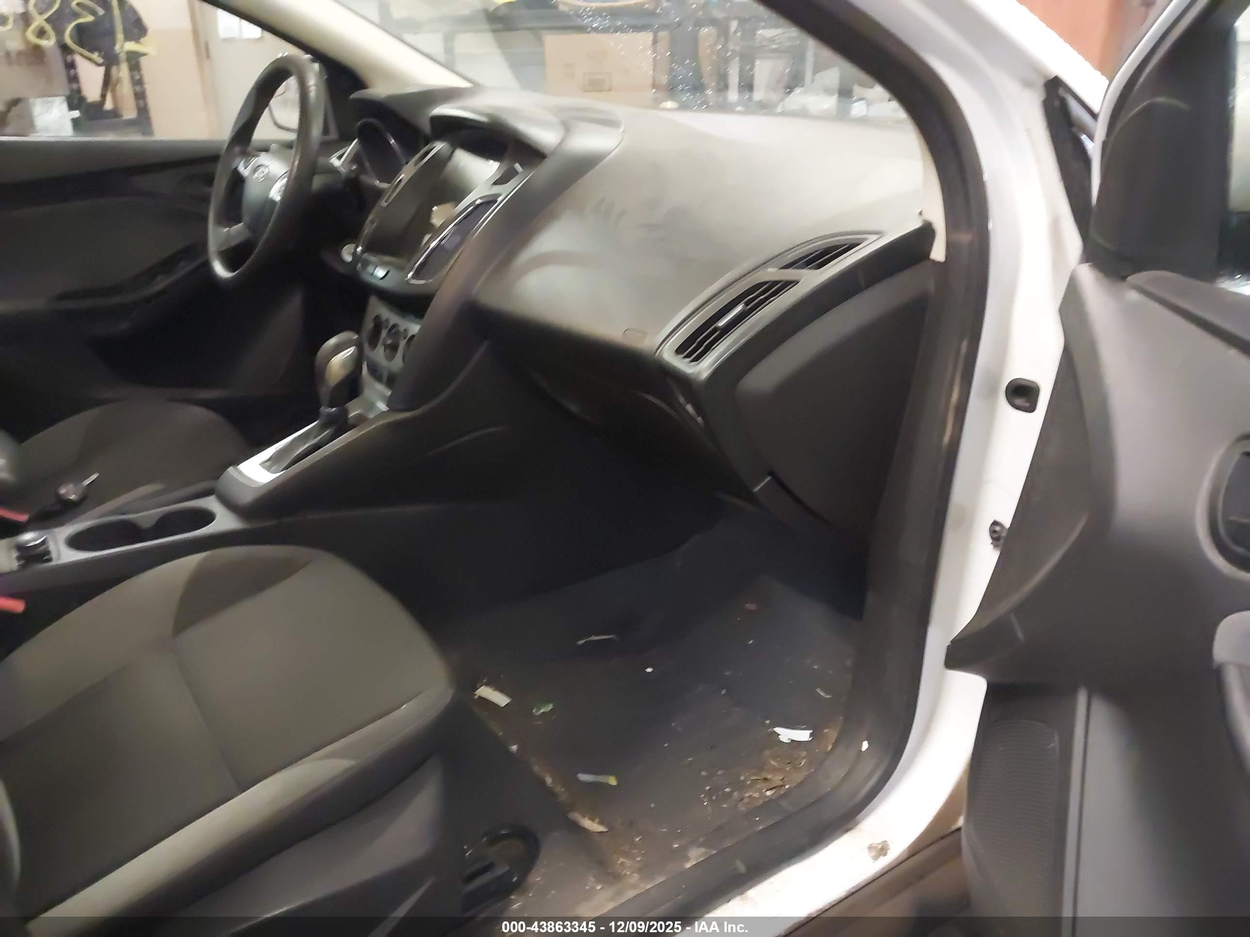 FORD FOCUS image 5