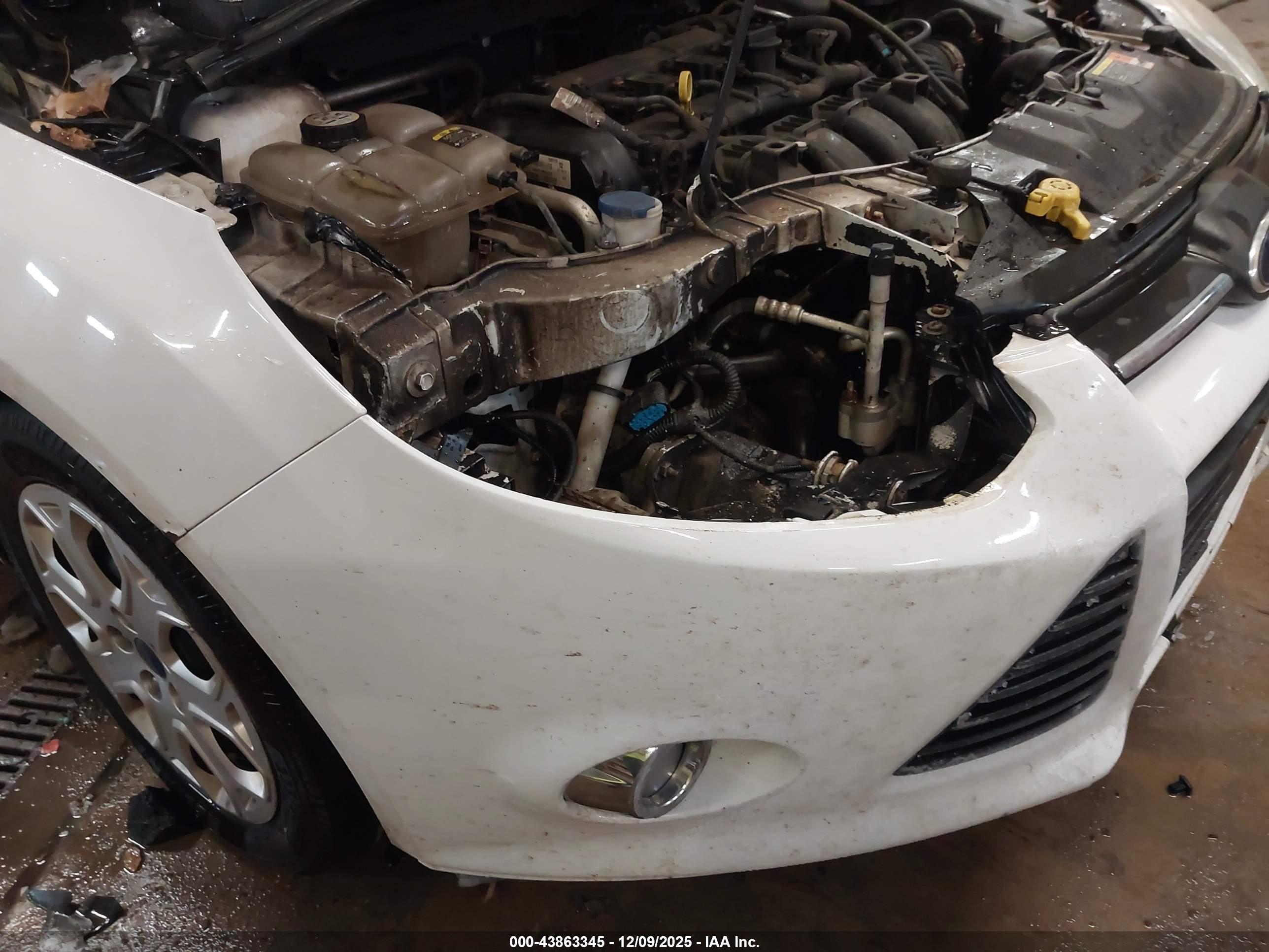 FORD FOCUS image 6
