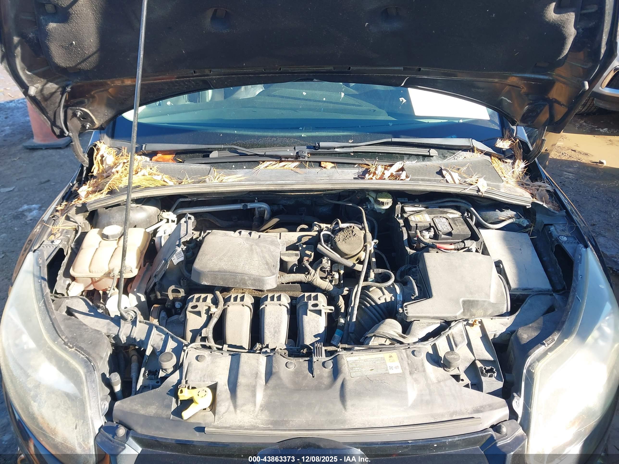 FORD FOCUS image 10