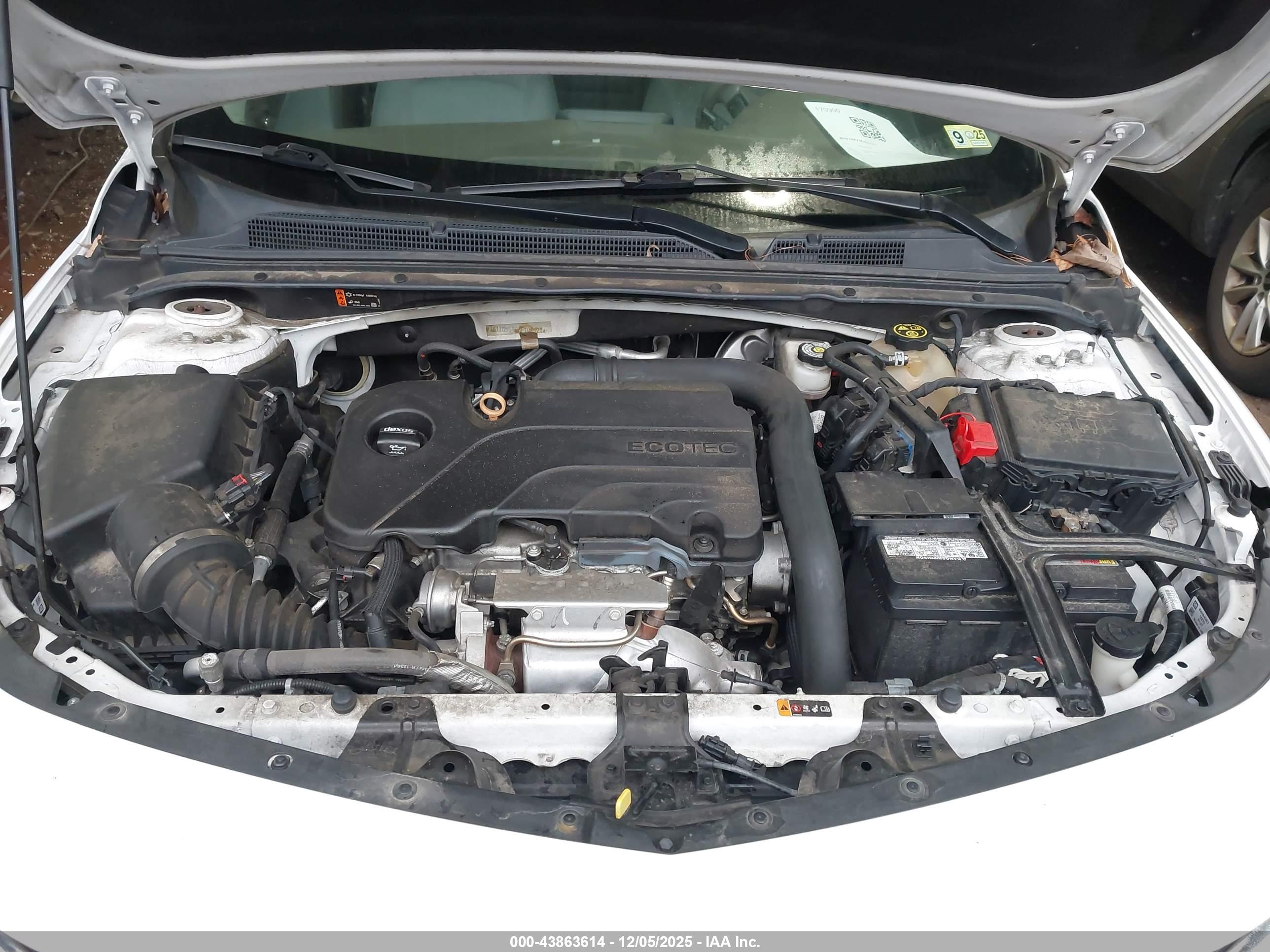 CHEVROLET MALIBU image 10