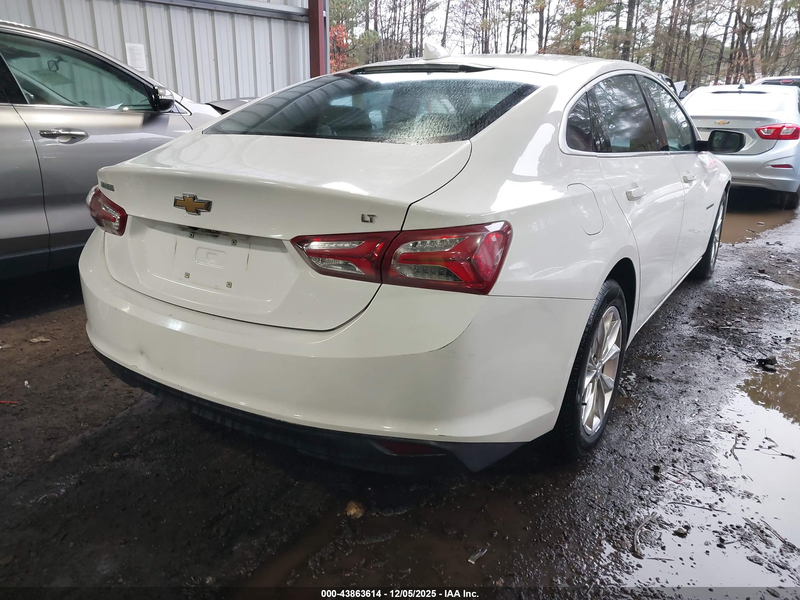 CHEVROLET MALIBU image 4