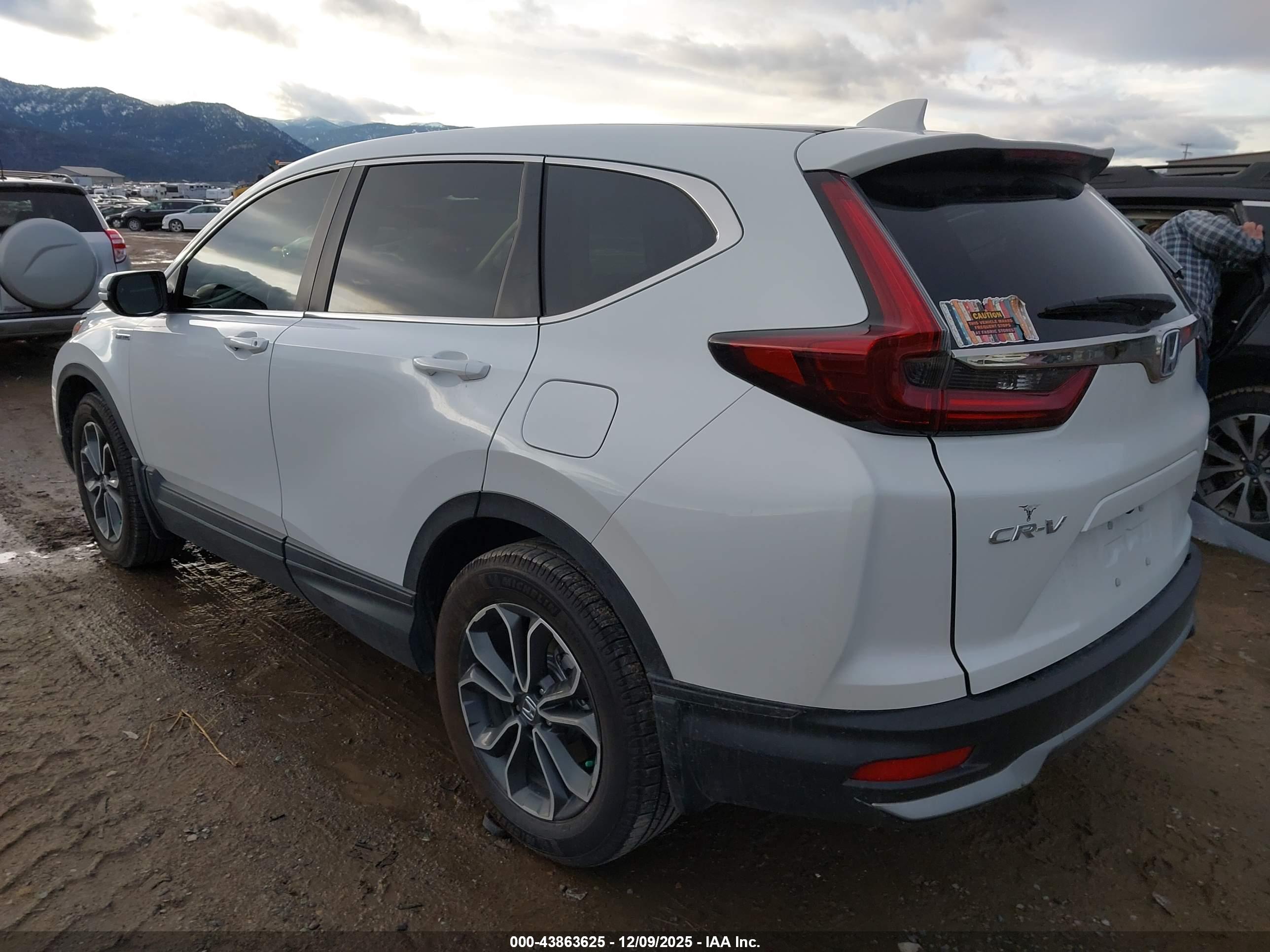 HONDA CR-V image 3