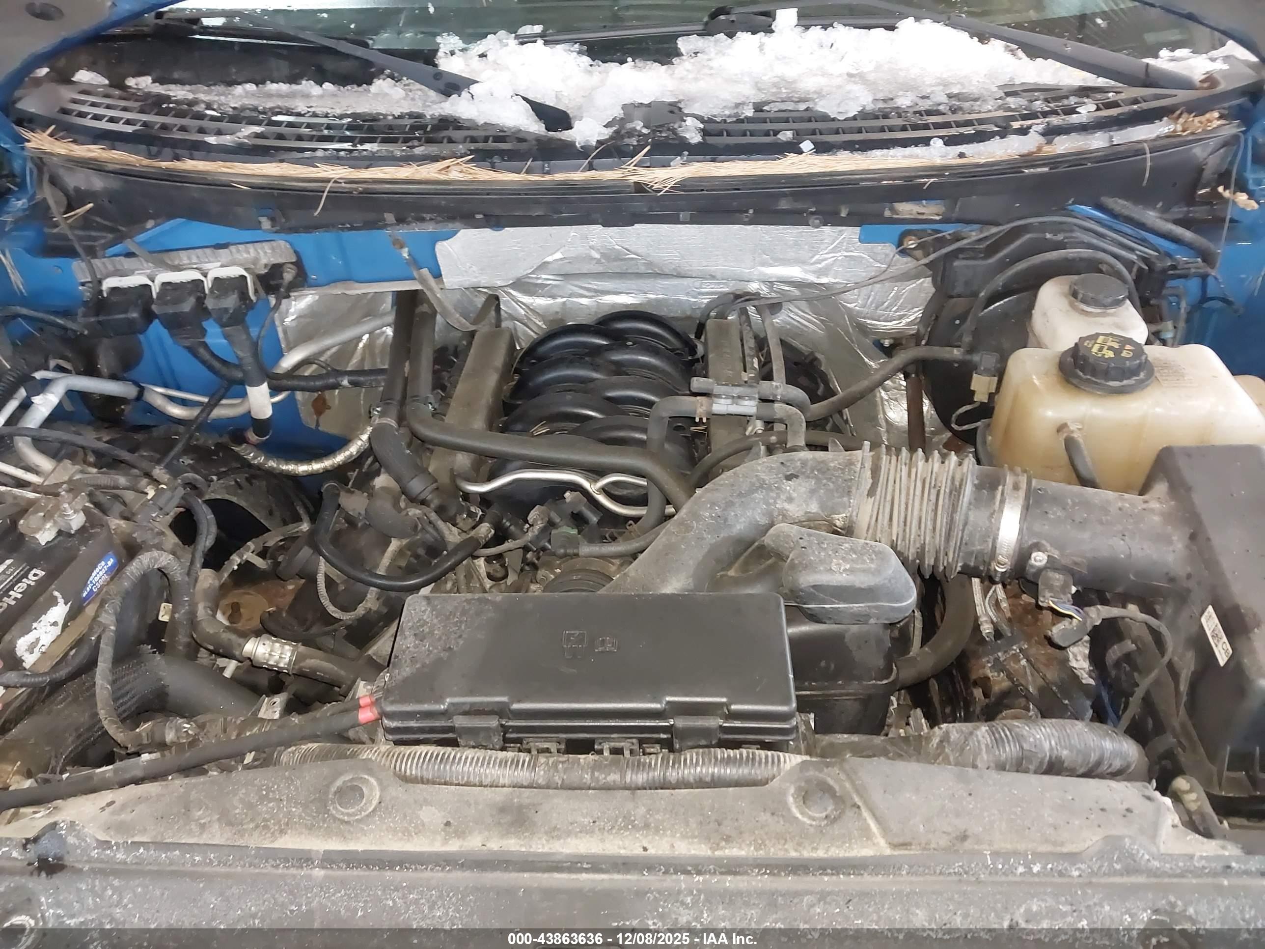 FORD F-150 image 10
