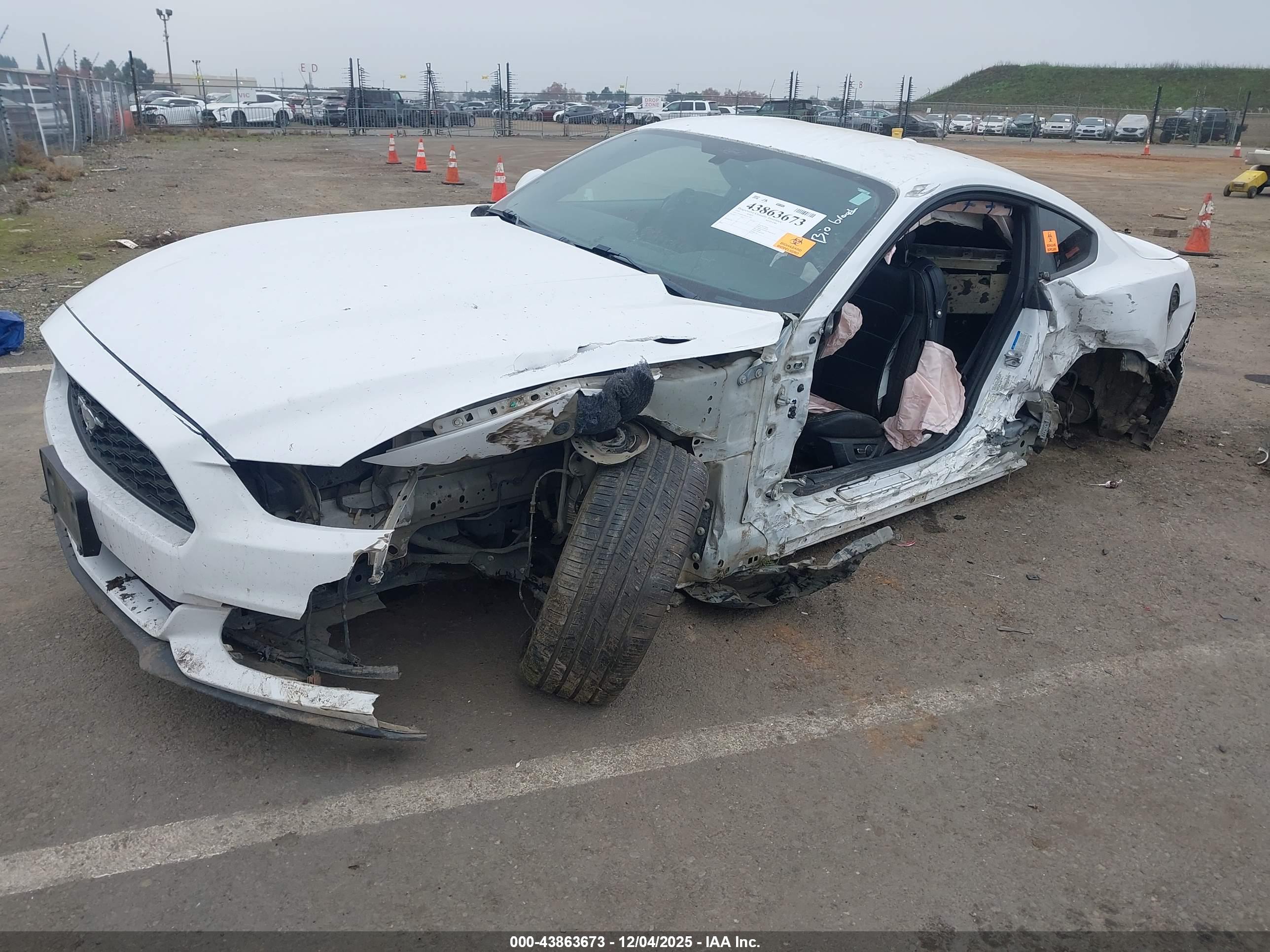 FORD MUSTANG image 2