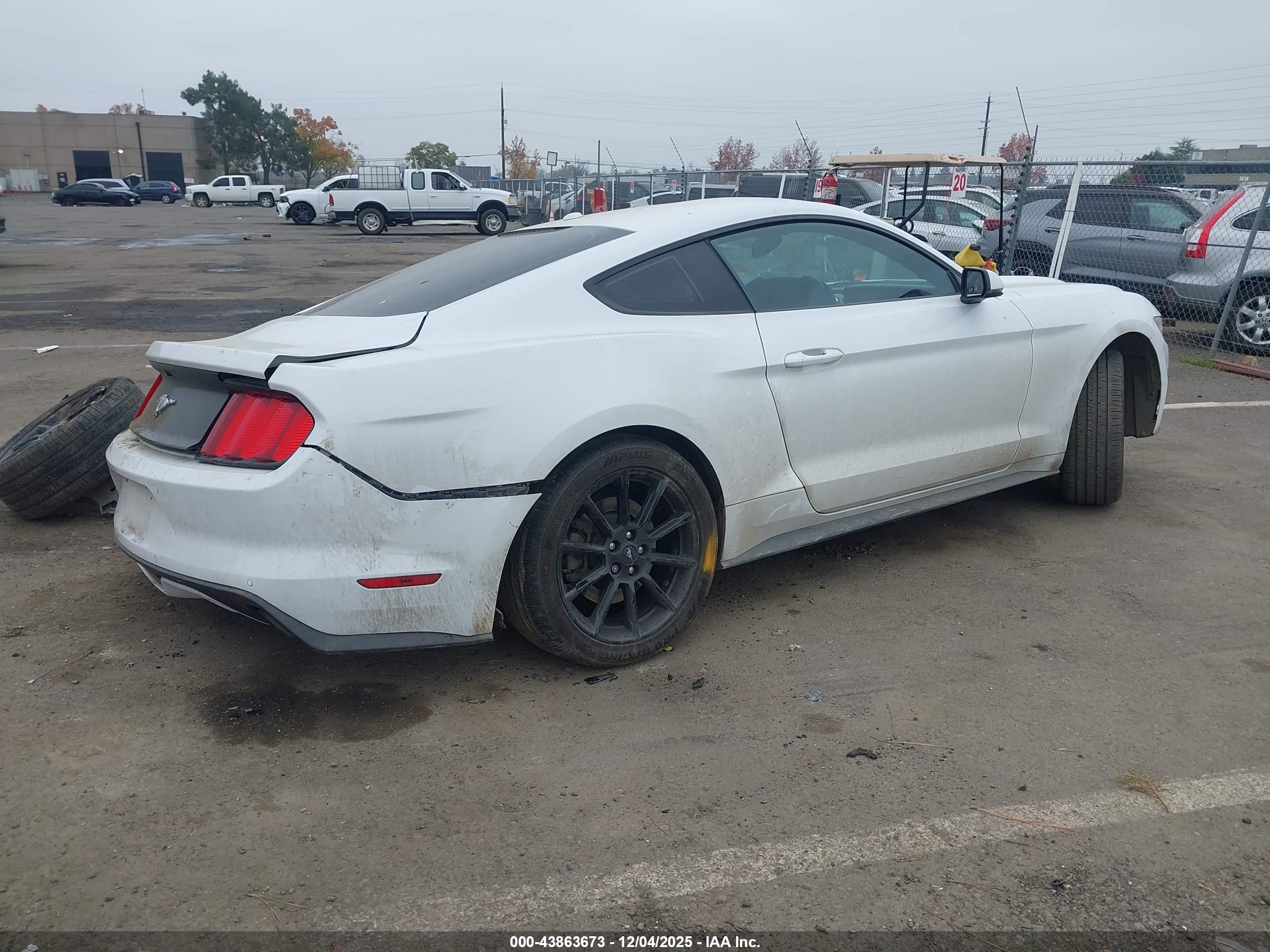 FORD MUSTANG image 4