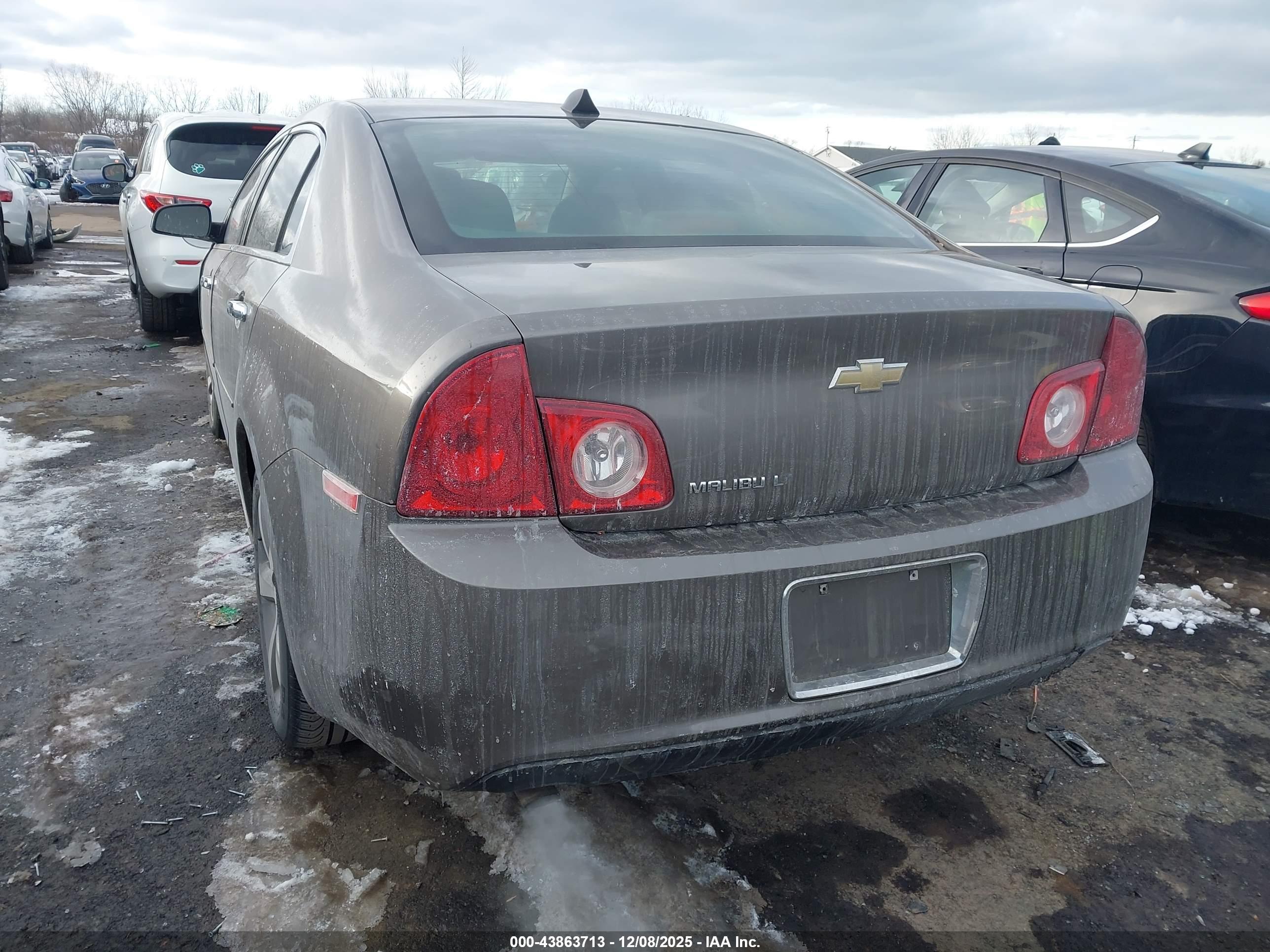 CHEVROLET MALIBU image 3