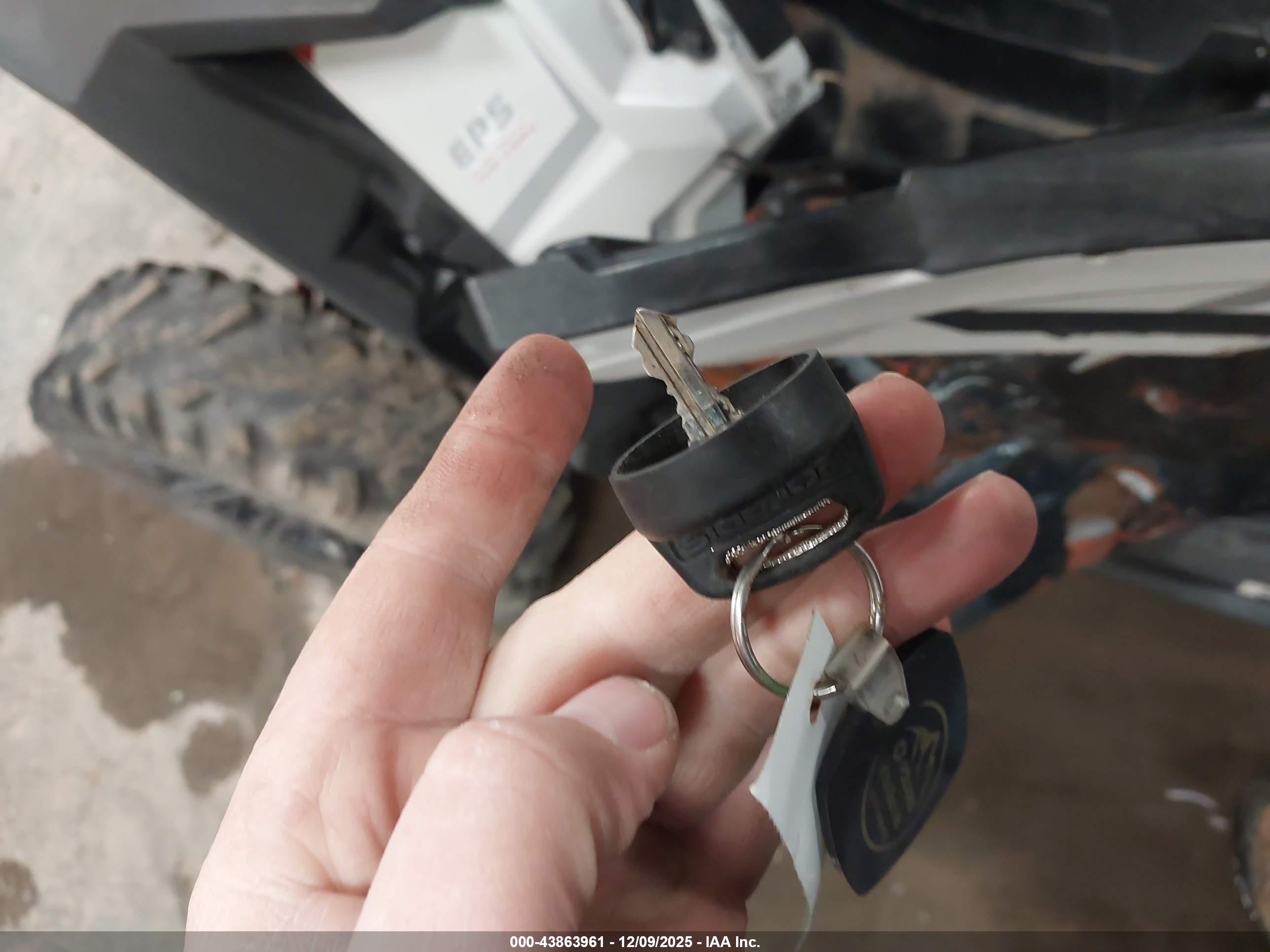 POLARIS RZR image 11