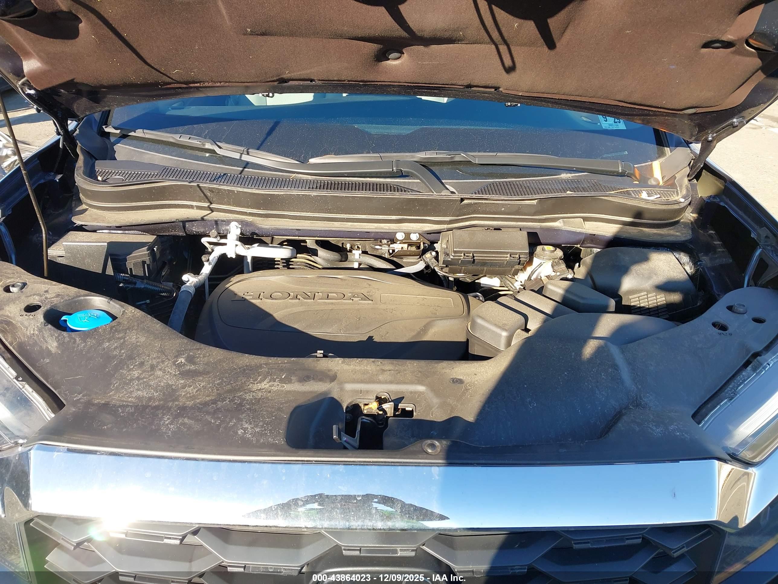 HONDA PASSPORT image 10