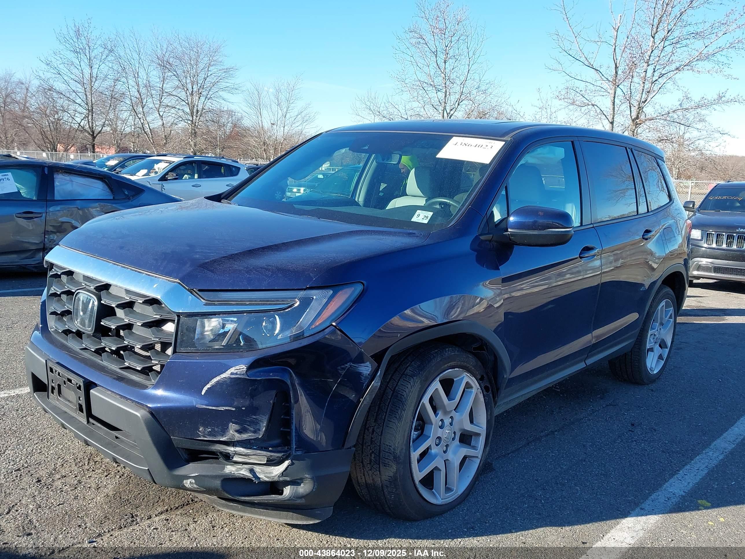 HONDA PASSPORT image 2