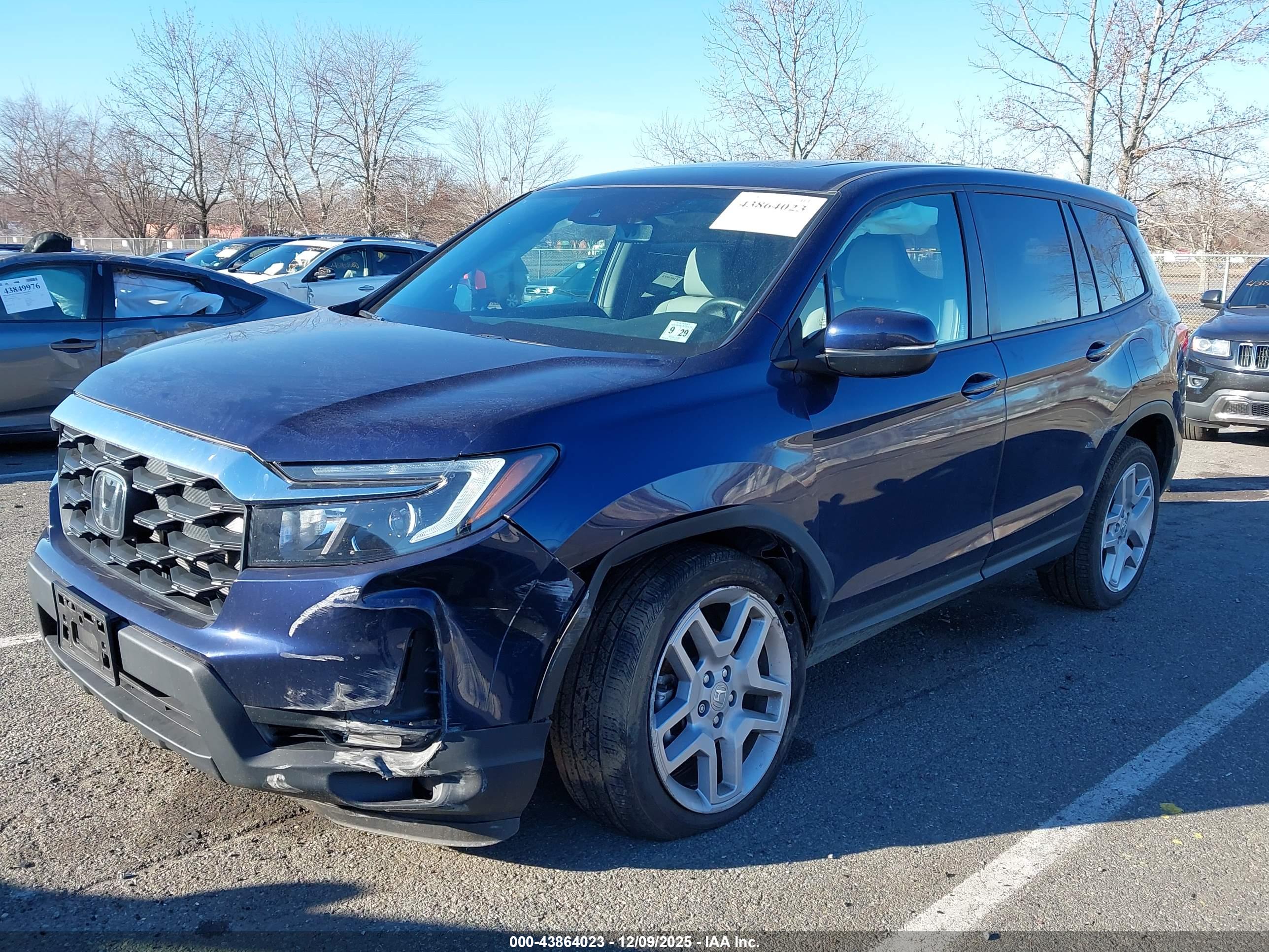 HONDA PASSPORT image 6