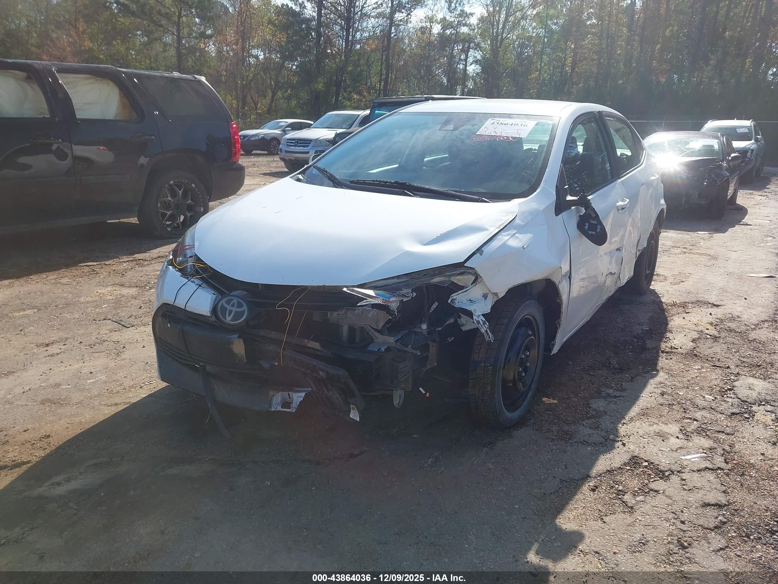 TOYOTA COROLLA image 6