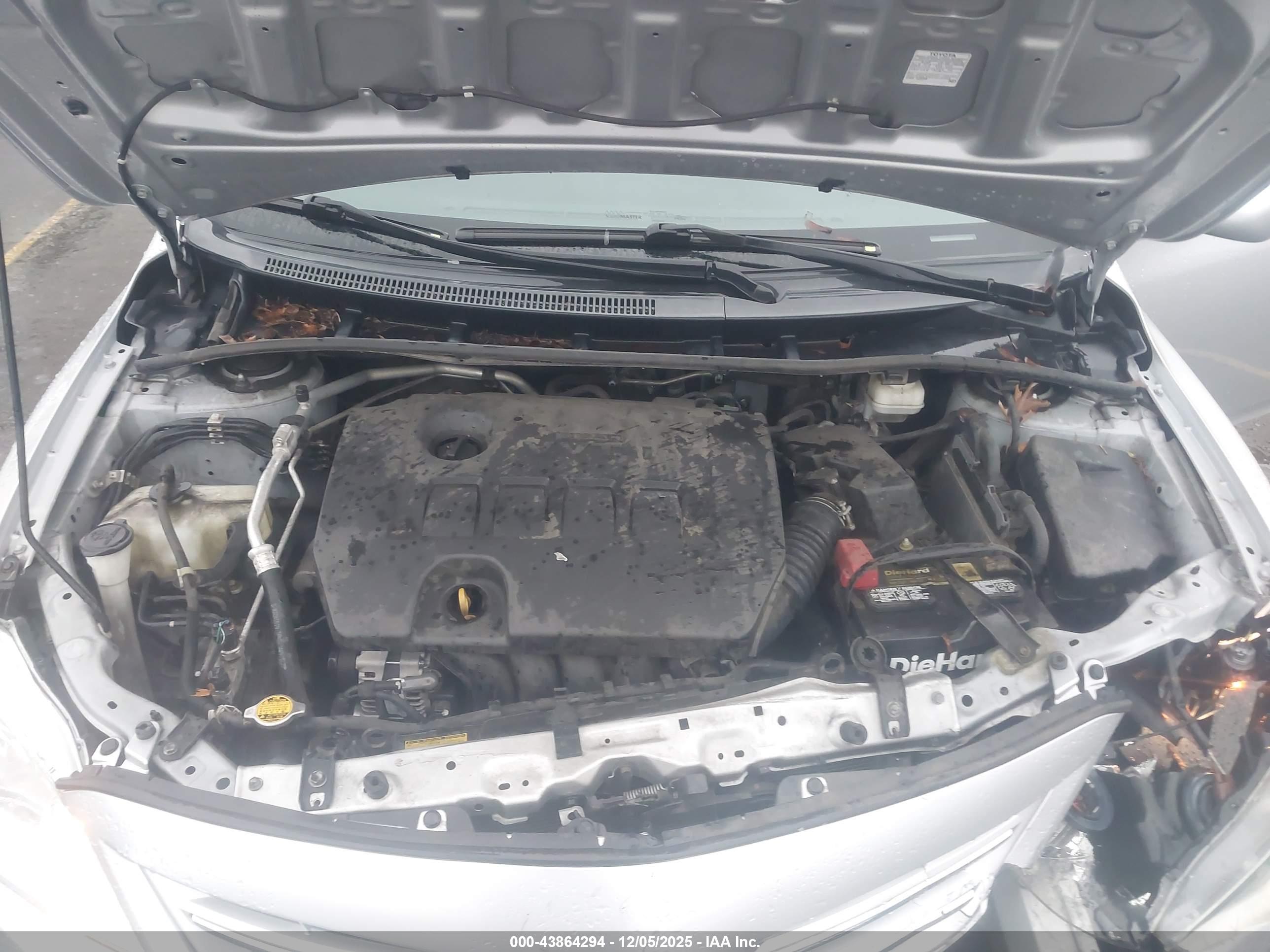 TOYOTA COROLLA image 10