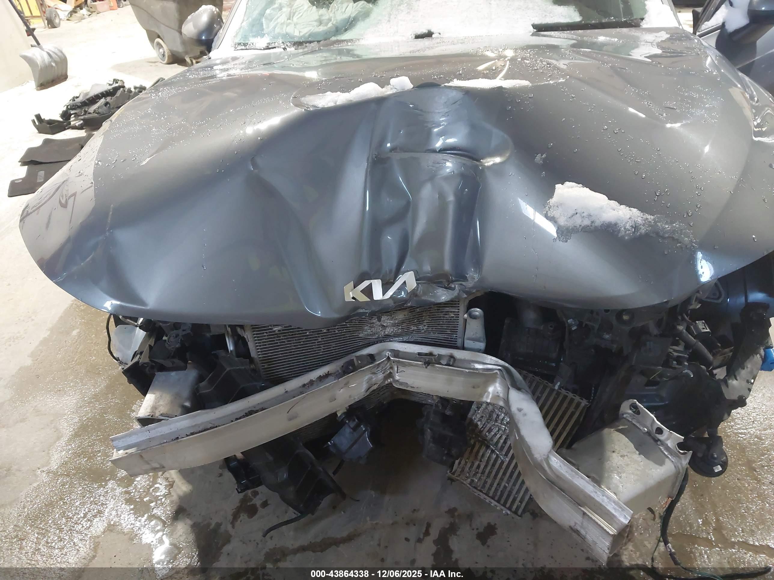 KIA K5 image 6