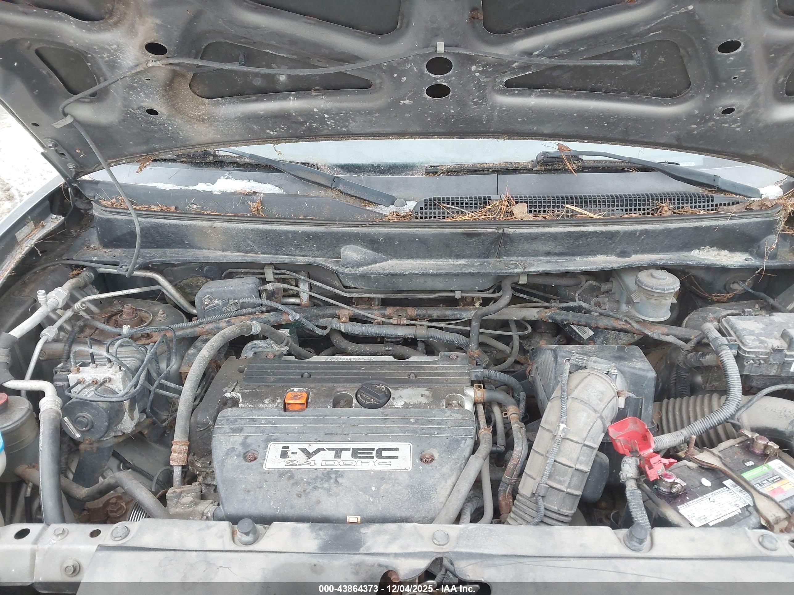 HONDA ELEMENT image 10