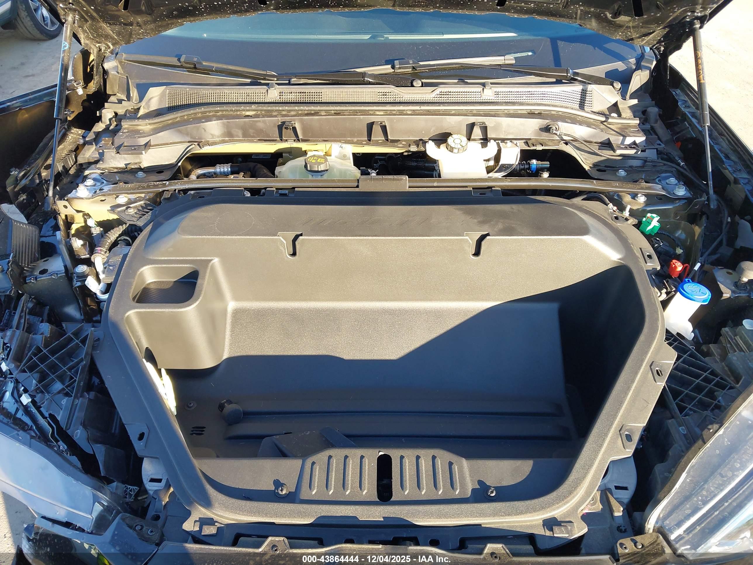 FORD MUSTANG image 10
